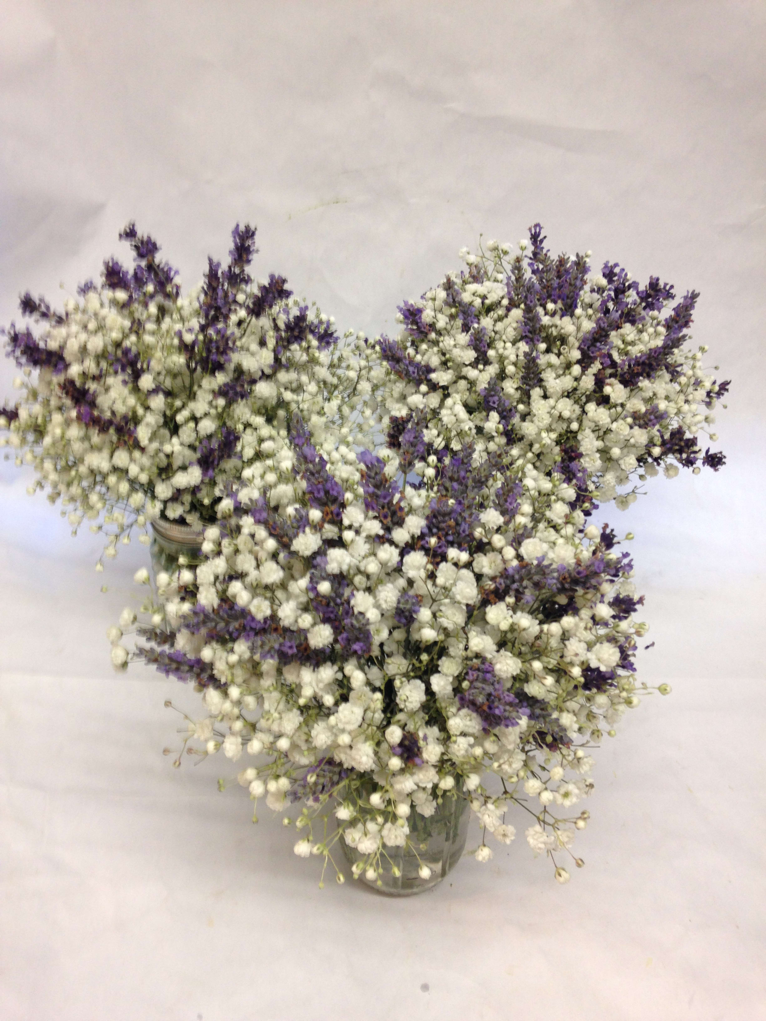 White baby's breath and purple filler flowers in glass vases