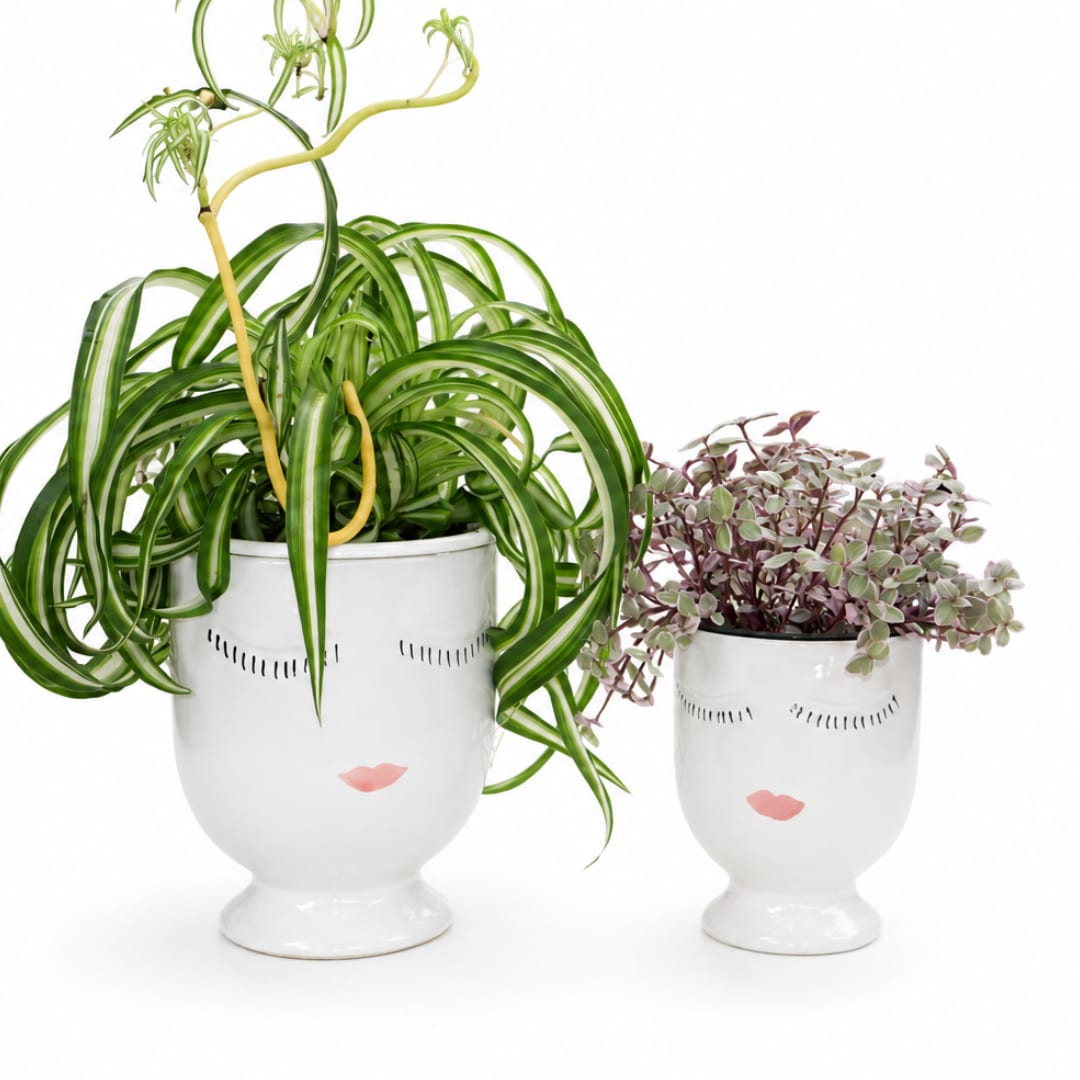 Two potted plants in white face planters with painted eyelashes and lips