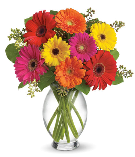 Colorful gerbera daisy bouquet in a clear glass vase