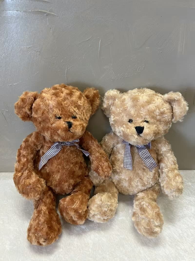 Two plush teddy bears with gingham bows sitting side by side