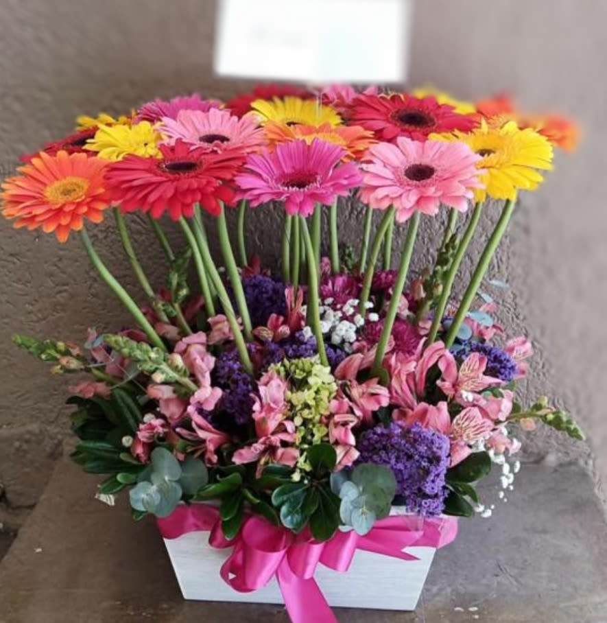Radiant Gerbera Garden | Luxury Colorful Gerbera Flower Arrangement - Brighten someone's day with our Radiant Gerbera Garden, a luxury floral arrangement handcrafted by Snyder Flowers. Designed with vibrant pink, yellow, orange and red gerbera daisies, this cheerful arrangement also features pink alstroemeria, purple statice, snapdragons, baby's breath, eucalyptus and seasonal premium flowers in an elegant keepsake wooden box.  Gerbera daisies symbolize happiness, friendship, positivity and new beginnings, making this arrangement a perfect gift for birthdays, congratulations, graduations, thank you gifts, new baby celebrations, housewarming gifts, get well wishes, promotions, retirement celebrations and everyday surprises.  Every arrangement is handcrafted using premium fresh flowers and is available with same-day flower delivery in San Antonio, including Stone Oak, Alamo Heights, The Dominion, Shavano Park, Castle Hills, Medical Center, Helotes, Leon Valley, Schertz, Cibolo, Live Oak, Universal City, Boerne and surrounding areas.  If you're searching for gerbera flower delivery, colorful flower arrangements, birthday flowers, luxury flowers or a trusted florist in San Antonio, Snyder Flowers delivers exceptional floral designs with unmatched freshness and style.