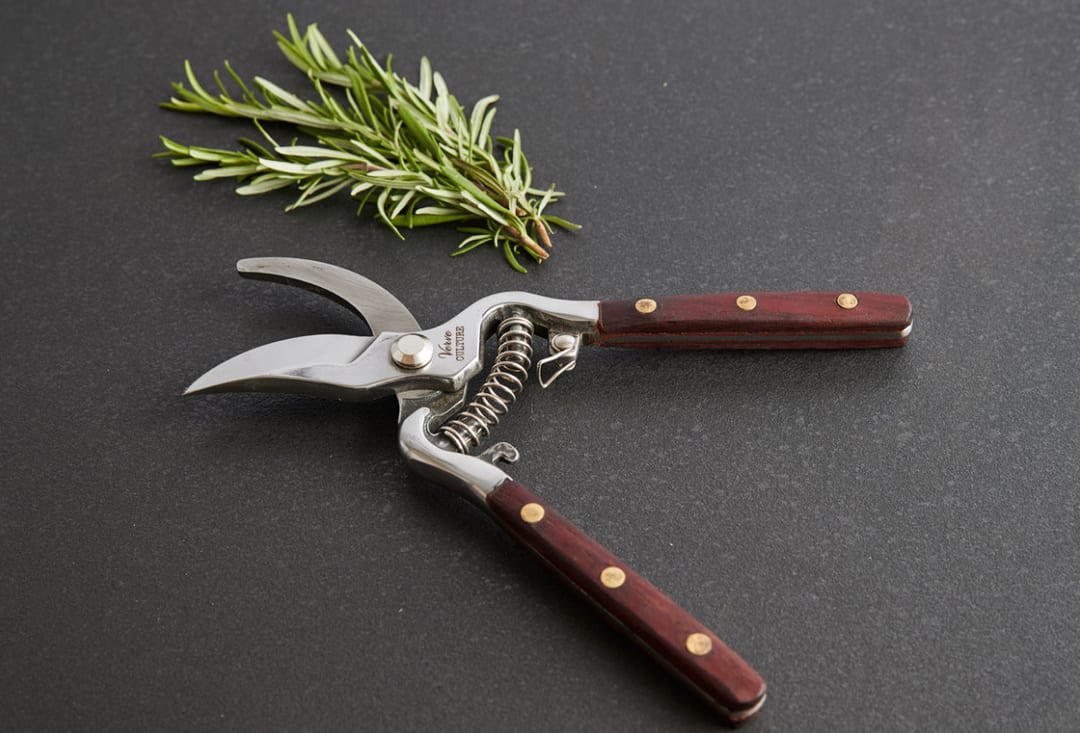 Pruning shears beside a sprig of rosemary on a dark surface
