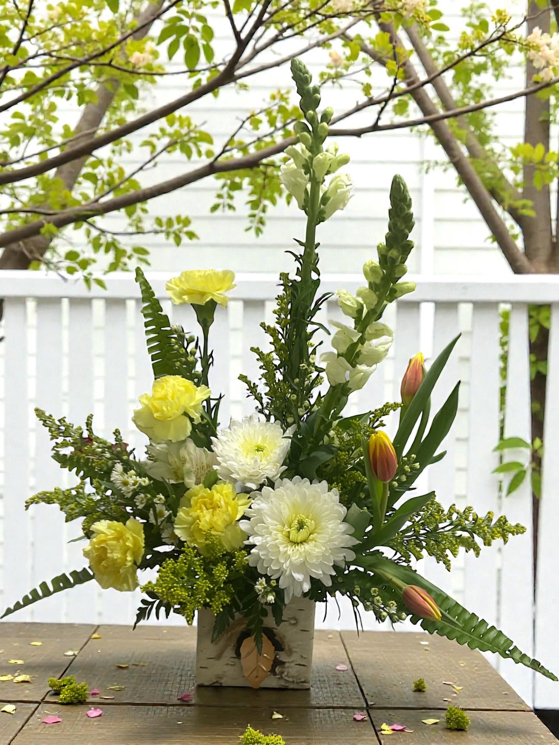 Sunbeam Meadow - Soft, sunny, and effortlessly elegant, Sunbeam Meadow brings the warmth of a golden spring morning into the room. Creamy white snapdragons, cheerful yellow carnations, lush white mums, and sunset-tipped tulips rise together in a natural birch box, creating a design that feels fresh, open, and gently uplifting.  The palette is light and balanced, with soft contrast and natural texture that gives it a meadow-inspired feel without looking wild or overworked.  A beautiful choice for birthdays, get well, sympathy, thinking of you, or anyone who could use a little brightness in their day.  Each arrangement is created with the freshest stems available. Varieties may vary slightly based on availability while maintaining the same color palette and overall style.  Available for local flower delivery through Aspen Tower Florist, serving Greensburg and Shelbyville along with Rushville, Batesville, Westport, Oldenburg, St. Paul, Waldron, Milroy, and Hope. 