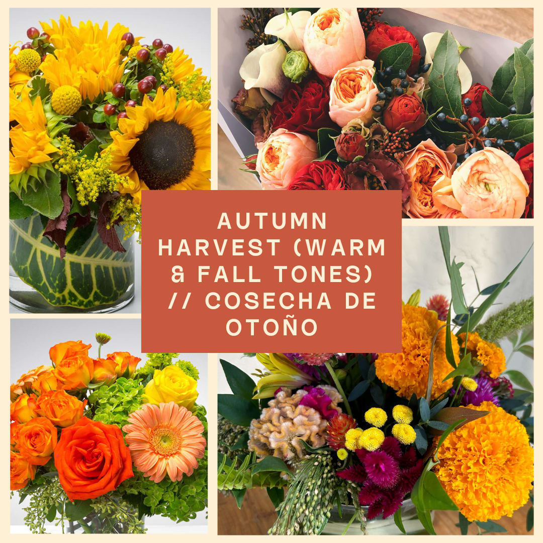 Designer's Choice: Autumn Harvest in Warm, Rustic Hues (cosecha de otoño) - [español abajo] Each arrangement is custom and one-of-a-kind, made with the freshest seasonal flowers and colors—get ready for a surprise! Our floral designers will craft the perfect arrangement for your special occasion, using unique vessels and seasonal blooms in the Autumn Harvest or Warm, Rustic color palette.  At checkout: Add any special requests in the “special instructions” section. Photos are just examples for each price point, and flower selection may vary. Include asks for: - your hoped-for flowers - shape and style (tall and showy versus low and lush) of the arrangement - occasion, etc. and leave the rest to us. While we can’t guarantee specific flowers, we promise something beautiful!  //  Cada arreglo es personalizado y único, hecho con las flores y colores más frescos de la temporada—¡prepárate para una sorpresa! Nuestras diseñadoras florales crearán el arreglo perfecto para tu ocasión especial, usando jarrones únicos y flores de temporada en la paleta de colores de la cosecha de otoño.  Al finalizar tu compra: Agrega cualquier solicitud en la sección de "instrucciones especiales". Las fotos son solo ejemplos, y la selección de flores puede variar. Incluye solicitudes para: - las flores que esperas - forma y estilo (alto y vistoso o bajo y abundante) del arreglo - ocasión, etc. y nosotras hacemos el resto! Aunque no garantizamos flores específicas, te prometemos algo hermoso.