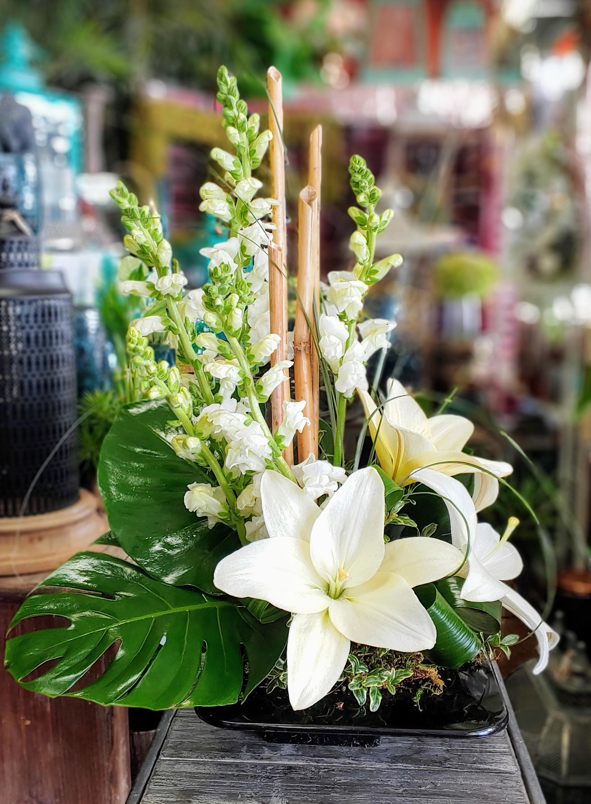 Zen Lilies - Zen Lilies – A Tranquil Sympathy Arrangement by Windmill Floral Expressions  Offer a message of peace and heartfelt remembrance with Zen Lilies, an elegant sympathy arrangement exclusively from Windmill Floral Expressions in Las Vegas. This serene design features luminous white Asiatic lilies, graceful white snapdragons, and lush tropical greens such as monstera and aspidistra leaves. Slender bamboo canes rise through the arrangement, adding natural height and tranquility in the spirit of modern Ikebana.  Thoughtfully crafted to convey purity, balance, and comfort, Zen Lilies is a gentle tribute to a life well-lived. The soft white blooms and organic textures create a calming presence, perfect for memorial services, funerals, or as a heartfelt gesture of condolence delivered to the home of someone grieving.  Hand-delivered with care by your trusted Las Vegas florist, Zen Lilies brings a quiet moment of beauty and peace during life’s most difficult times.  