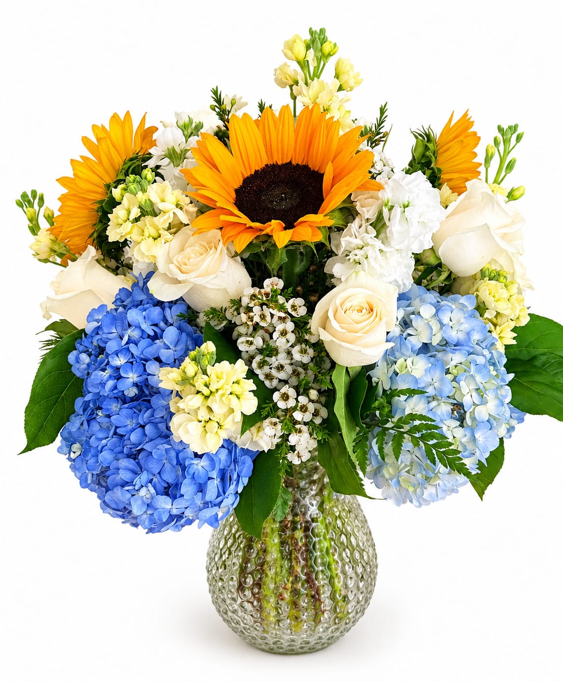 Coastal Sunrise - A fresh and vibrant arrangement featuring cheerful sunflowers, elegant white roses, lush blue hydrangeas, creamy stock, delicate waxflower, and seasonal greenery, beautifully designed in a textured glass vase. A stunning gift for birthdays, celebrations, housewarmings, or to brighten someone’s day.