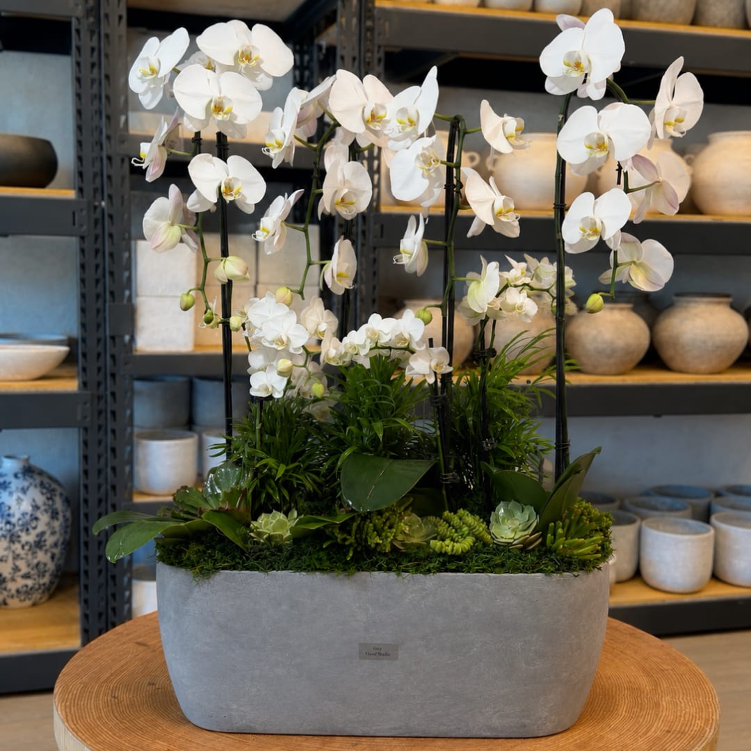 White orchids arranged in a gray rectangular planter