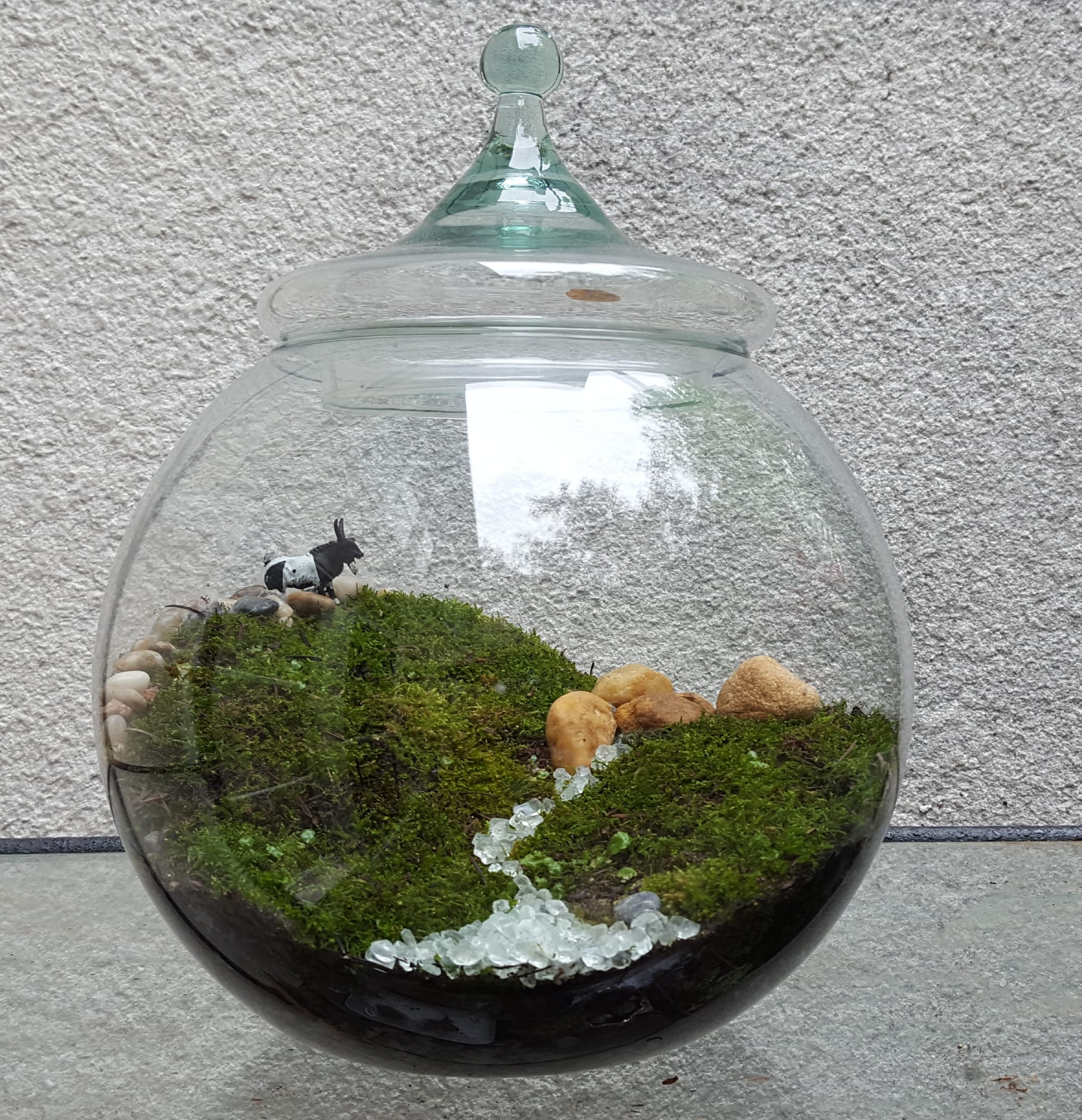Glass terrarium with moss, pebbles, and a small cow figurine