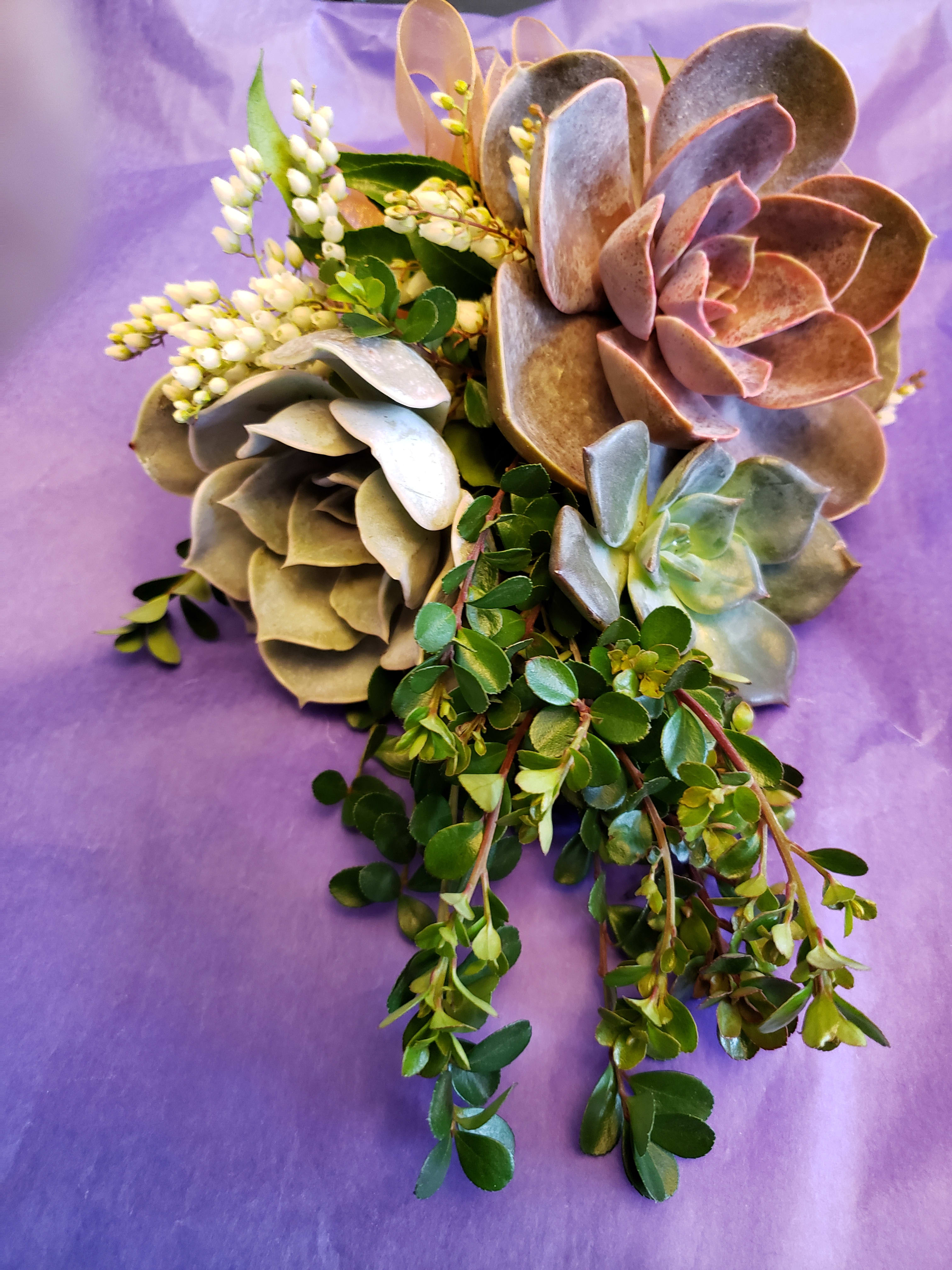 Succulent bouquet with trailing greenery on purple wrapping