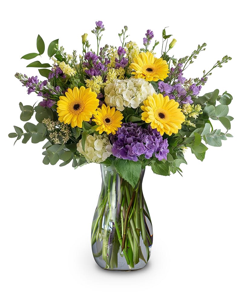 Radiant Garden - Brighten her day with this garden-inspired design featuring vibrant yellow gerberas, lavender blooms, and soft white hydrangeas nestled among lush greeneryâ€”an arrangement that speaks of love and admiration.  As similar as possible. Designer may make substitutions based on flower availability. 
