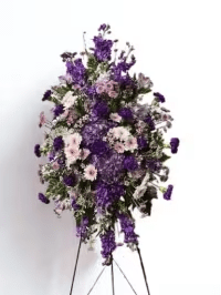 Amethyst Mist  - Amethyst Mist is a tall standing spray designed for sympathy and memorial services, offering a dignified, consoling presence that will let the person you're honoring feel truly remembered. The vertical, oval silhouette reads formal and respectful-an appropriate expression of sympathy or a thoughtful gesture for a funeral home or graveside service.  Purple chrysanthemums and other purple blooms lead the composition, softened by clusters of white daisies and pale pink carnations plus greenery that add cool contrast and gentle texture. The arrangement is dense and layered with a full, solemn look; it arrives mounted on a sturdy metal floral easel for immediate display.  Choose this standing spray when you want to convey deep sympathy, comfort, or respect-the color palette and classic form signal compassion without showiness. Care is simple: it is assembled for display on the included easel and delivered ready to place at a service or memorial setting.  As similar as possible. Designer may make appropriate changes based on flower availability. 