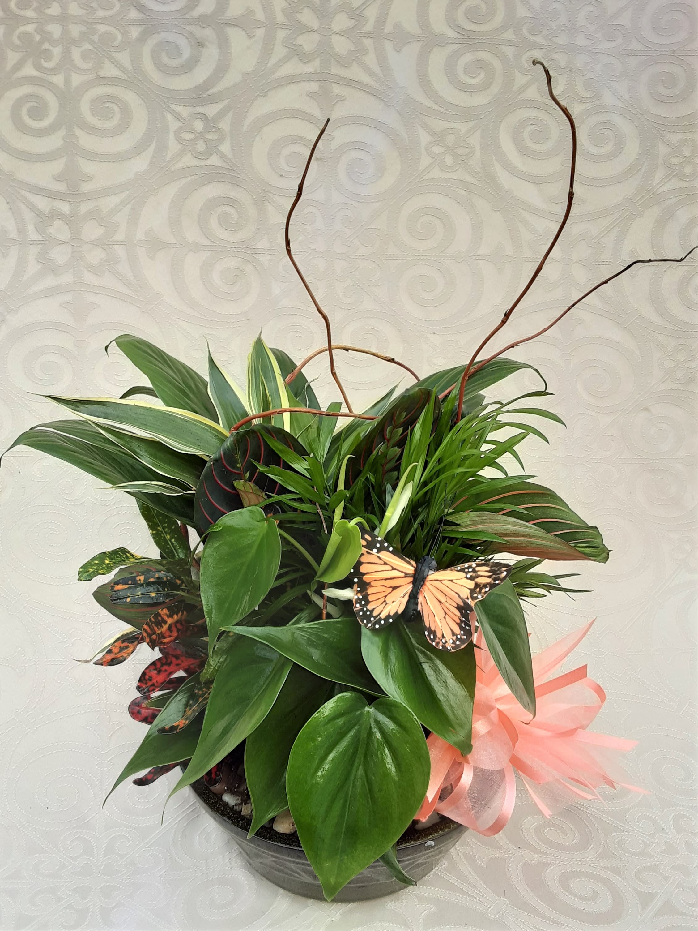 Tropical potted plant arrangement with a pink ribbon and butterfly decorations