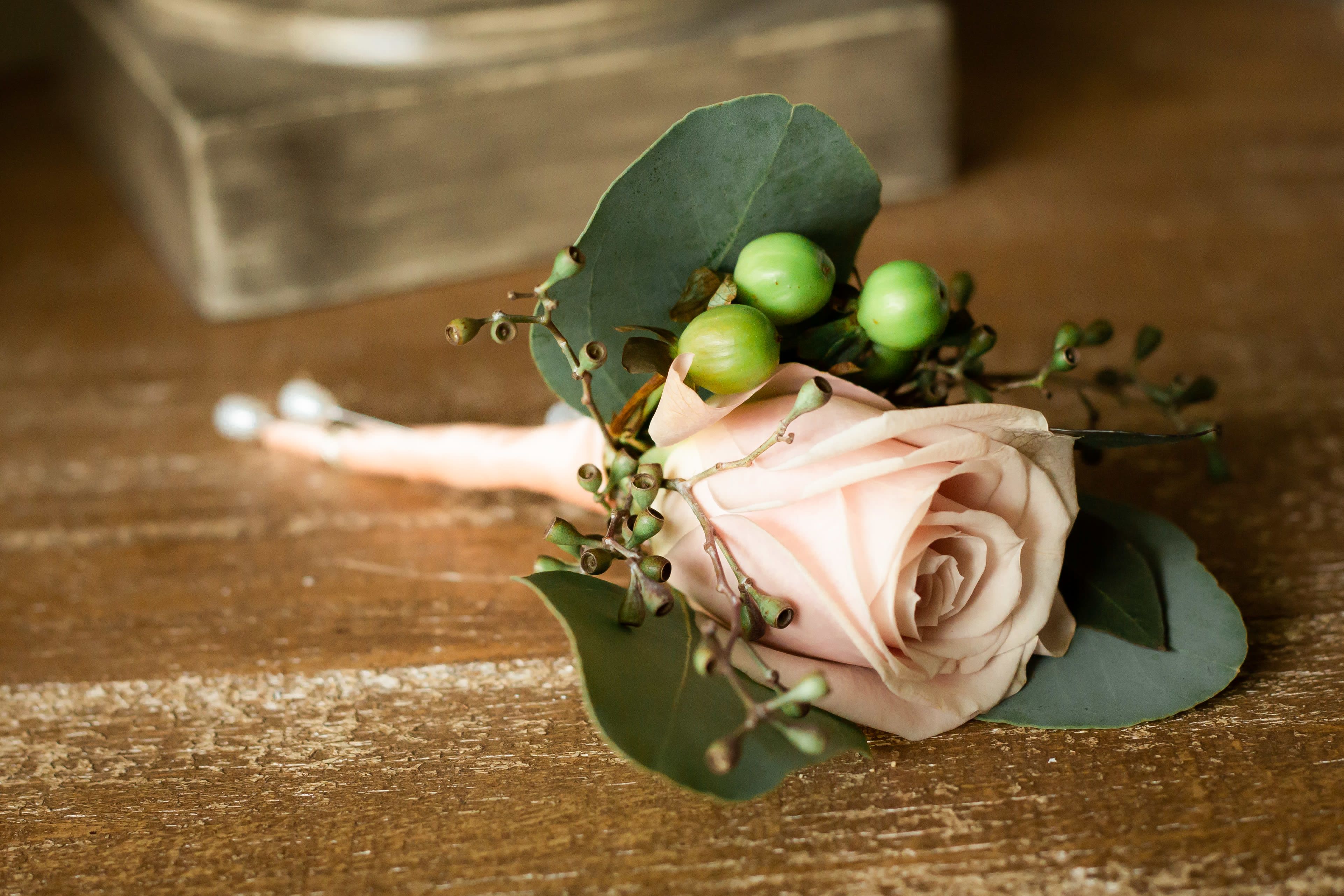 Single blush rose boutonniere with green berries and eucalyptus