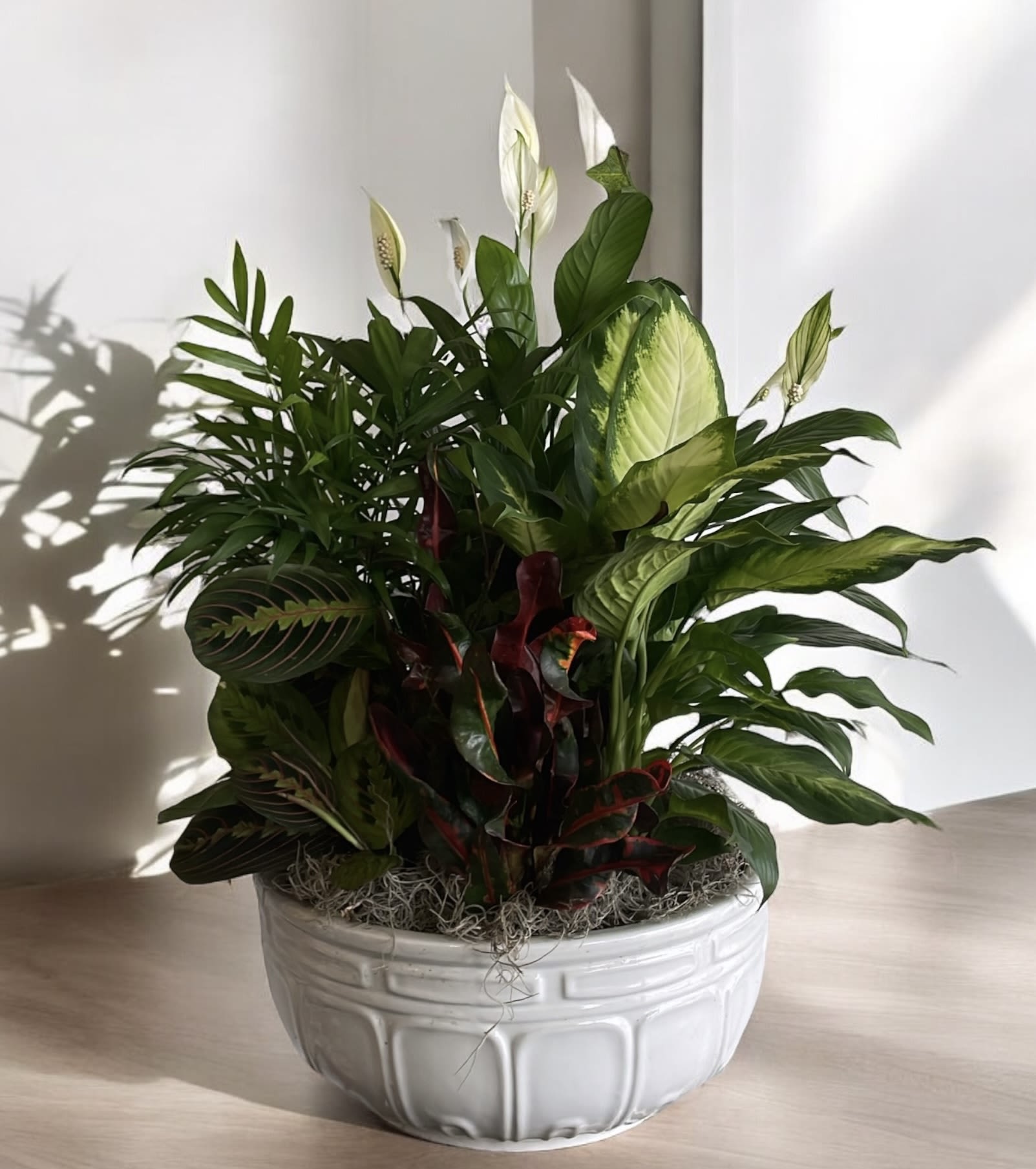 Potted peace lily and mixed foliage arrangement in a white ceramic bowl