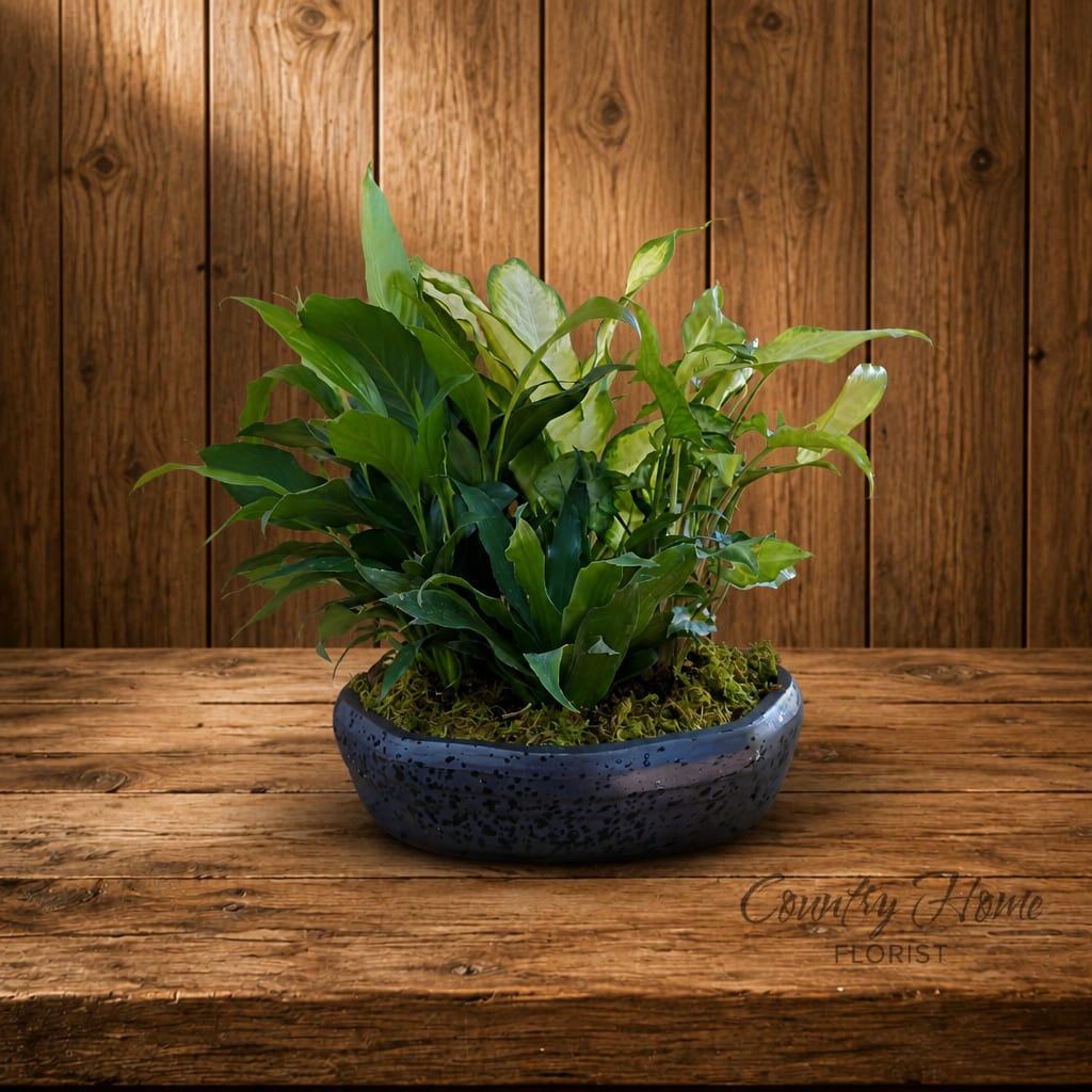 Potted green houseplant in a blue ceramic bowl