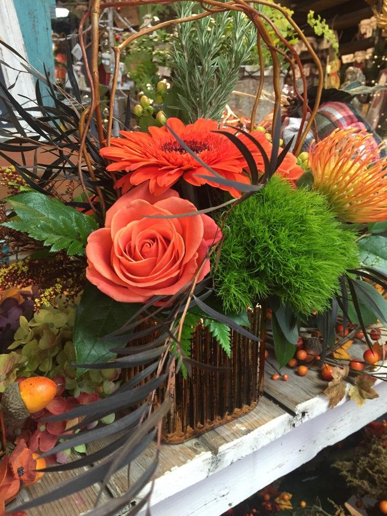 Autunm brilliant - Roses pin protea green trick