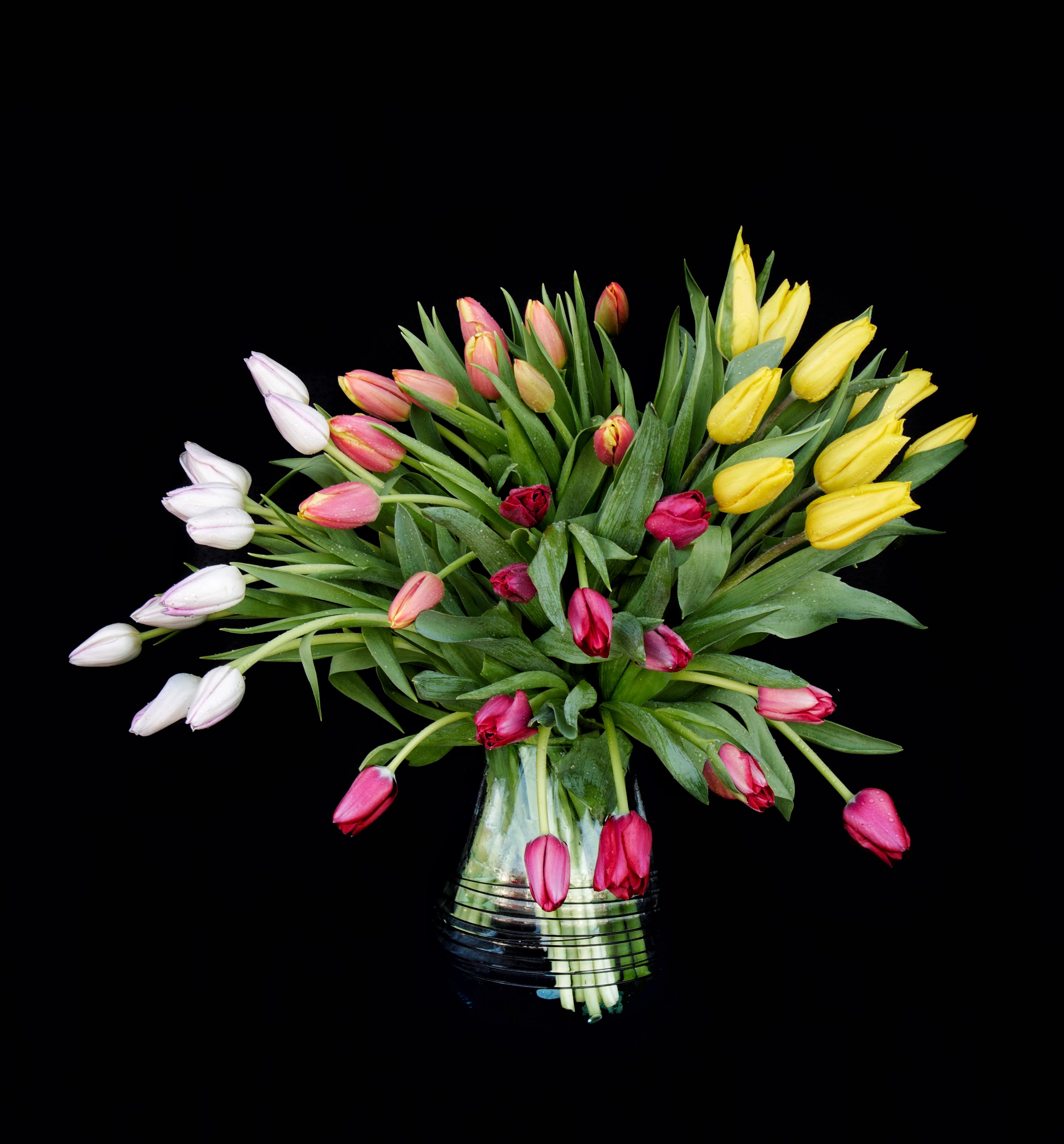 Bouquet of multicolored tulips in a clear glass vase