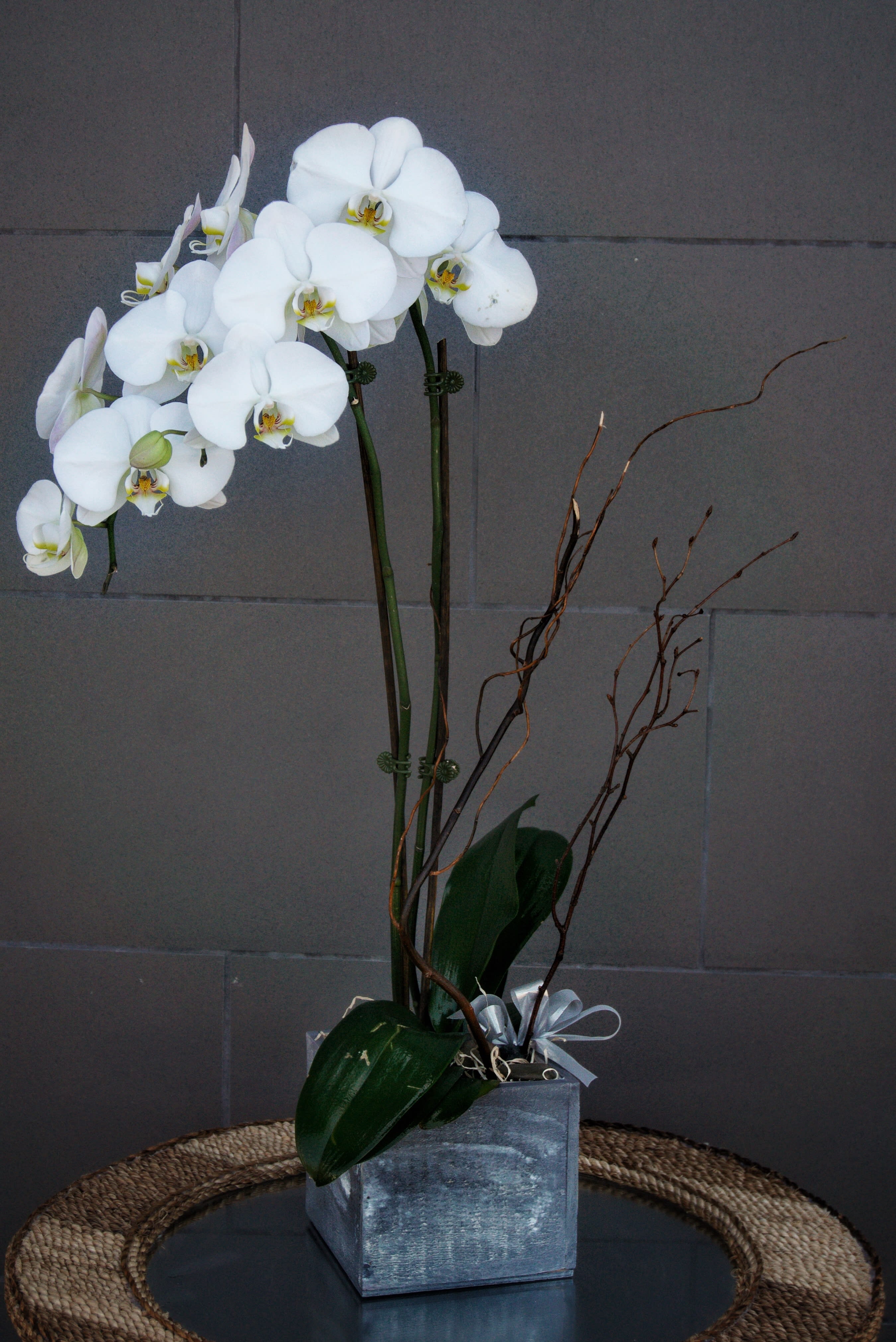 White orchid arrangement in a square gray container with decorative branches