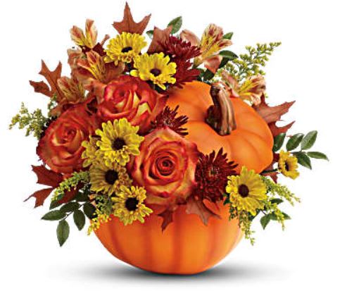 Warm Fall Wishes - Celebrate the beauty of fall with this colorful, heartwarming mix of roses and alstroemeria, hand-delivered in our classic ceramic pumpkin.  •Includes a lush mix of orange roses, orange alstroemeria, burgundy cushion chrysanthemums, yellow daisy chrysanthemums, solidago, huckleberry and oak leaves.  •Delivered in Teleflora's exclusive ceramic pumpkin with lid. •Orientation: One-Sided.  