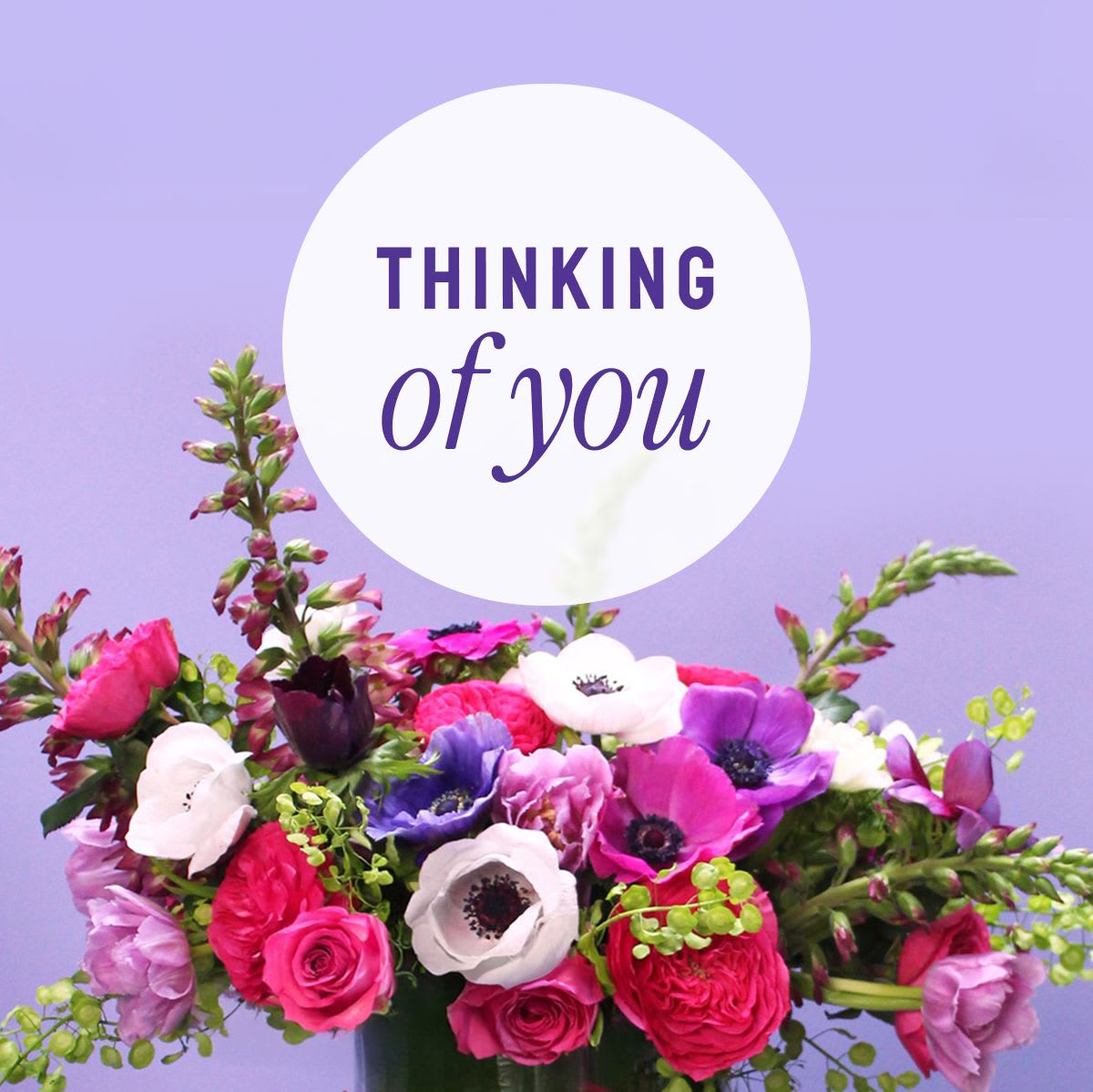 Pink and purple mixed bouquet with a "Thinking of you" message