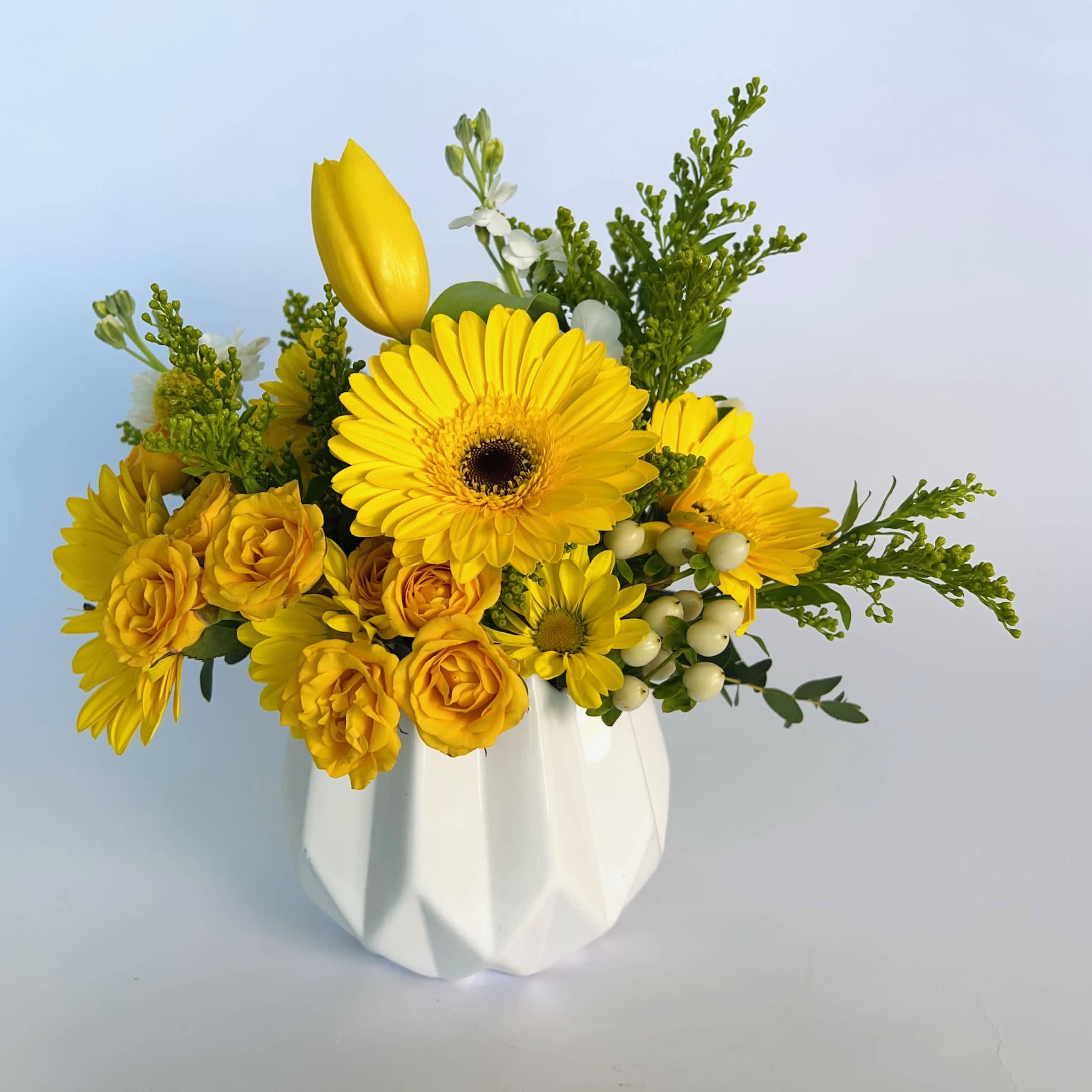 Sunny Skies - Brightest blooms to sunny up your skies