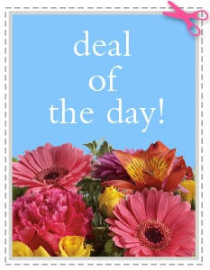 Blue card with flowers and the words "deal of the day!"