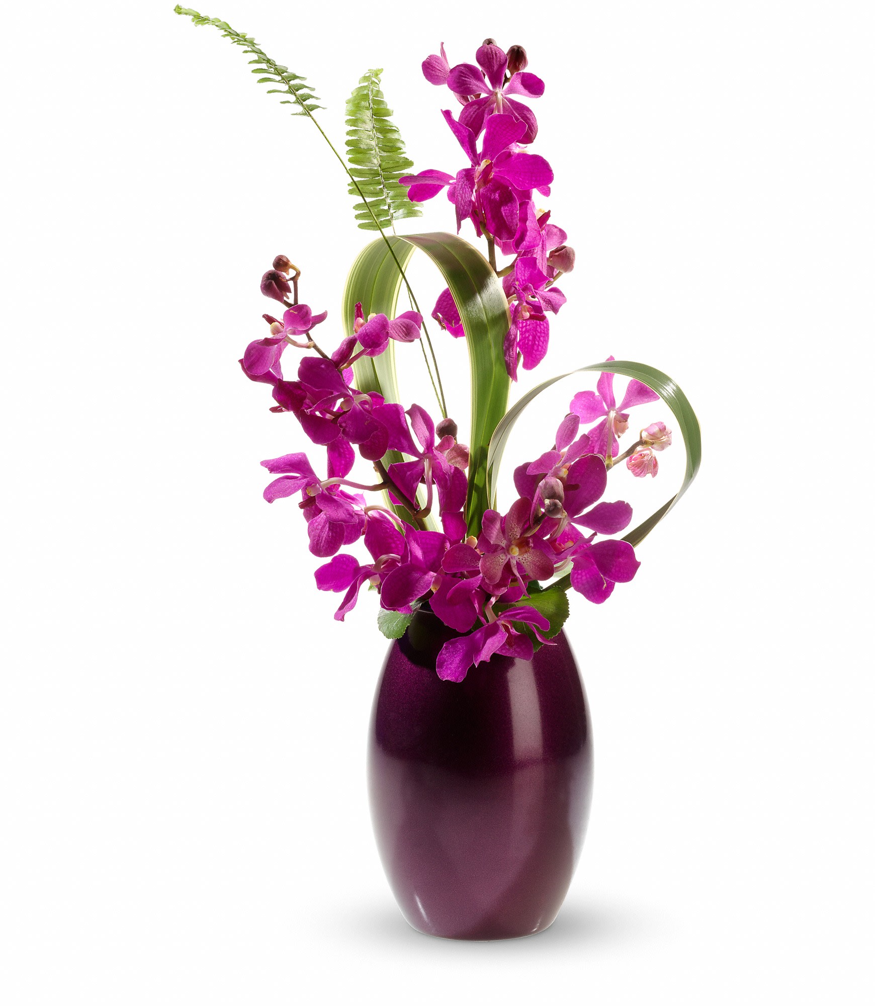 Love's Sweet Dream by Teleflora - For an unexpected gift, send fresh flowers with a touch of the exoticâ¦ deep purple dendrobium orchids, arching gracefully from a matching Ming vase. The loved one who receives this enchanting bouquet will think it's arrived straight out of a chapter of the Arabian Nights.  