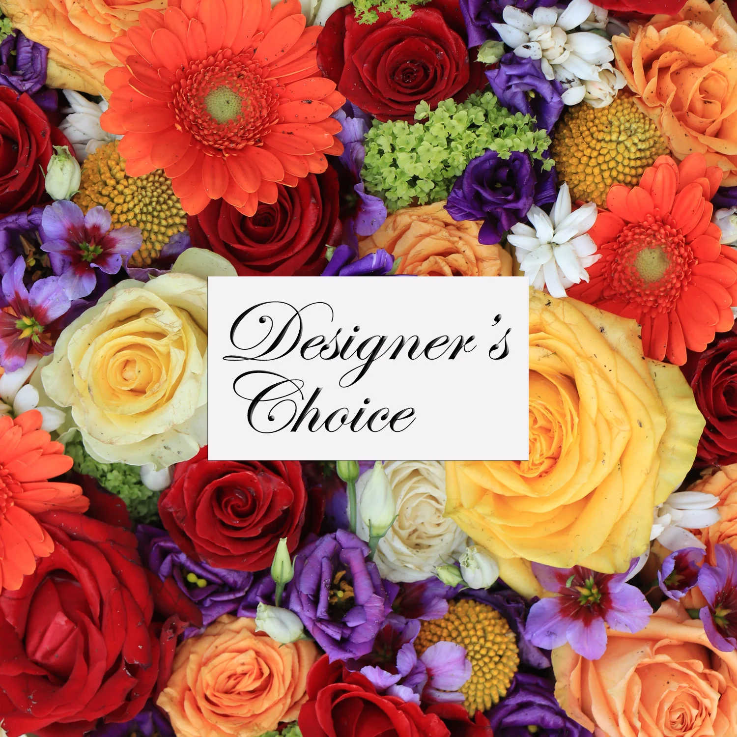 Mixed bouquet of roses, gerbera daisies, and purple blooms with a designer's choice card