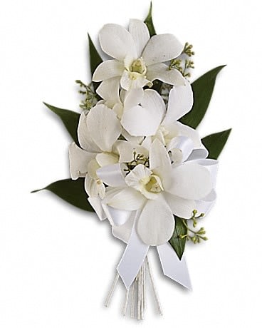 White orchid bouquet with ribbon and dark green leaves
