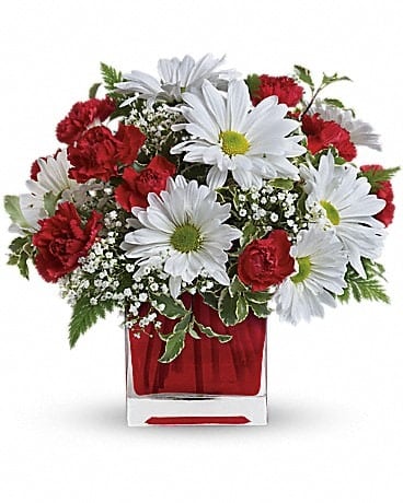 Red carnations and white daisies in a clear square vase