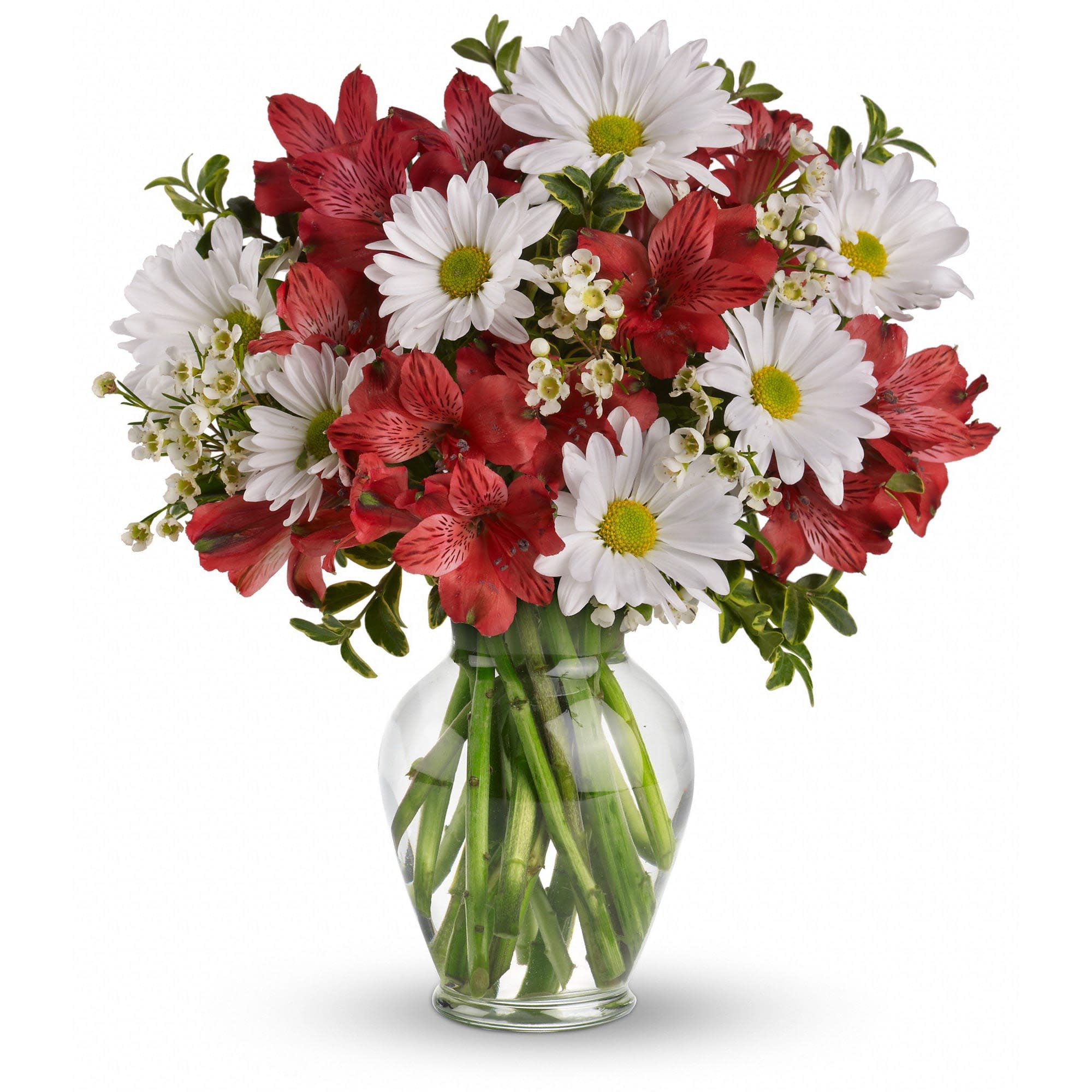 Arrangement of white daisies and red alstroemeria in a clear glass vase