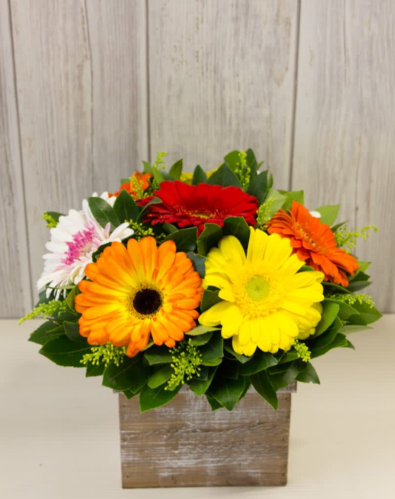 Colorful gerbera daisy arrangement in a rustic wooden box