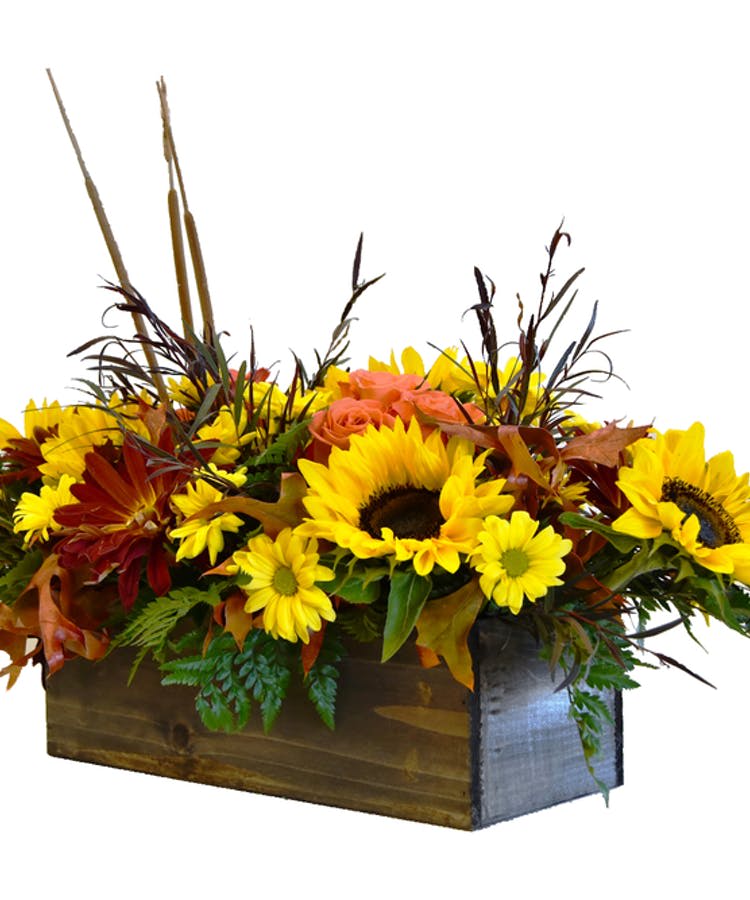 Harvest Blooms - This fall bloom arrangement in a rustic wooden box brings the rich colors of the season indoors. Featuring a mix of warm-toned flowers like sunflowers, mums, and more, it’s accented with autumnal foliage, dried grasses, and seasonal elements like berries or wheat. The wooden box adds a natural, country charm, making this arrangement a perfect centerpiece or decor piece that captures the cozy, earthy essence of fall.  To guarantee the freshest bouquet possible, we may replace some stems in your arrangement for color or flower variety. While we always do the best to match the picture shown, sometimes different vases may be used. Any substitution made will be similar to the original design and be of equal or greater value.