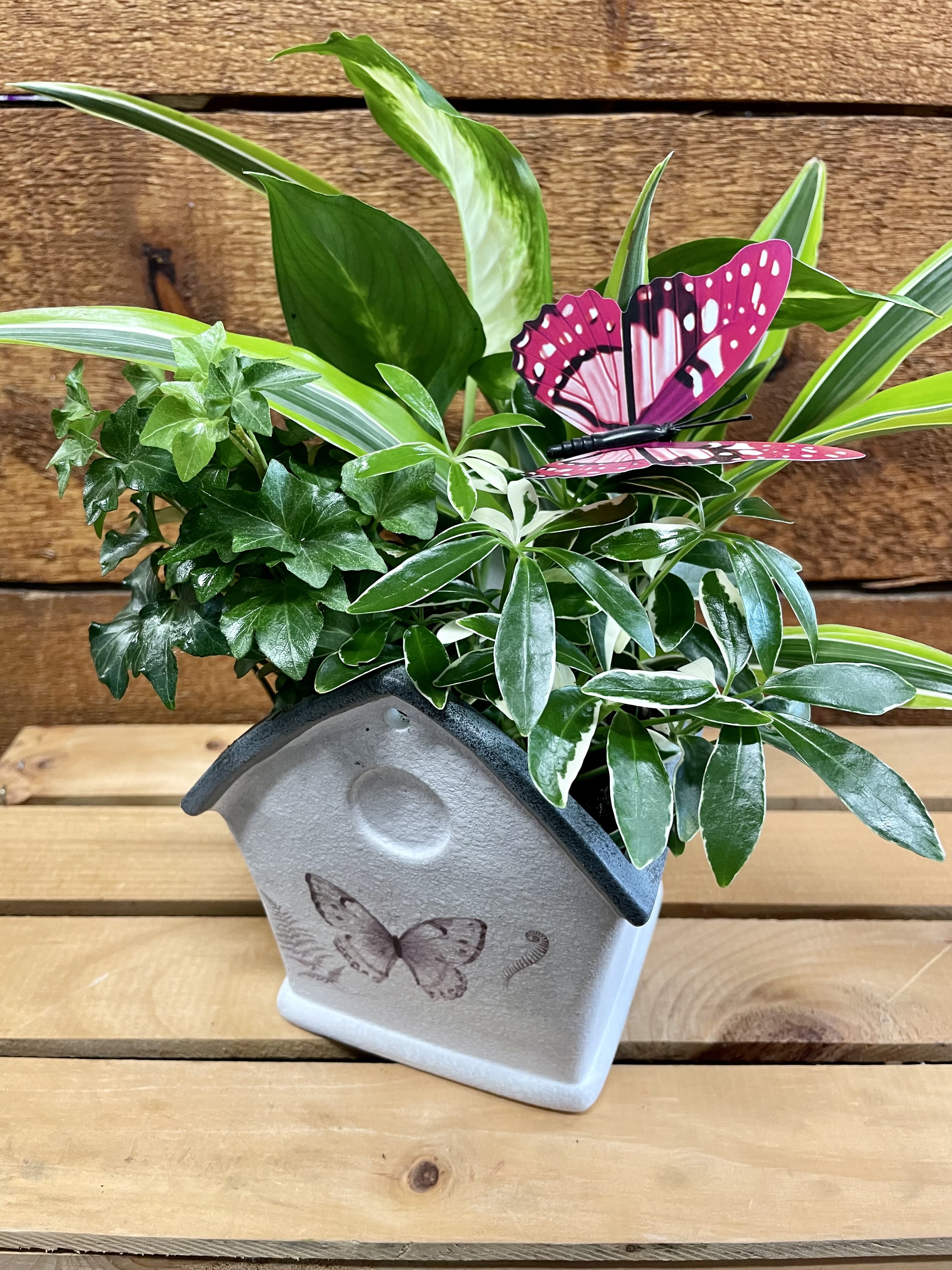 Potted green plant arrangement with a pink butterfly decoration