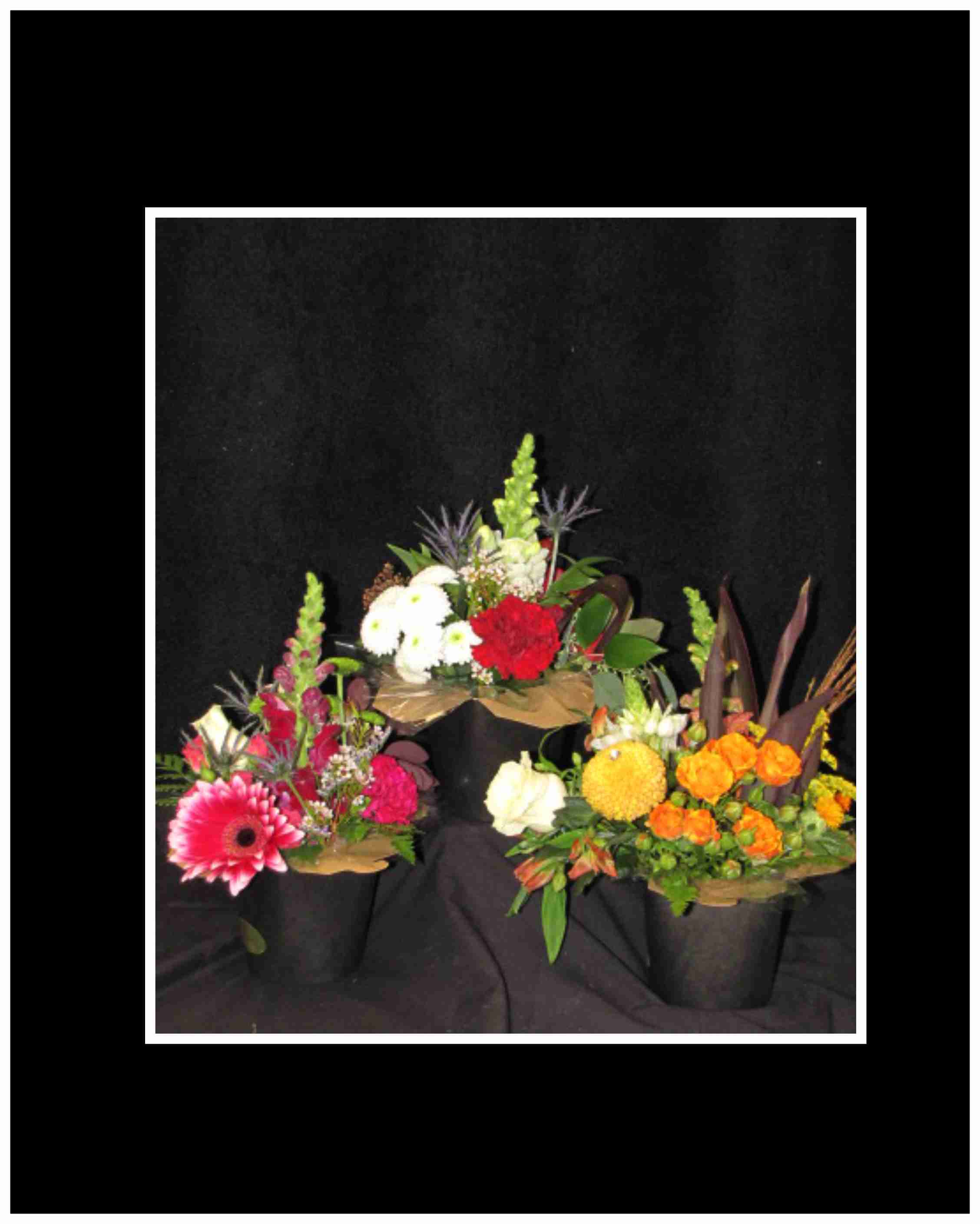 Three colorful flower arrangements in black containers against a dark background
