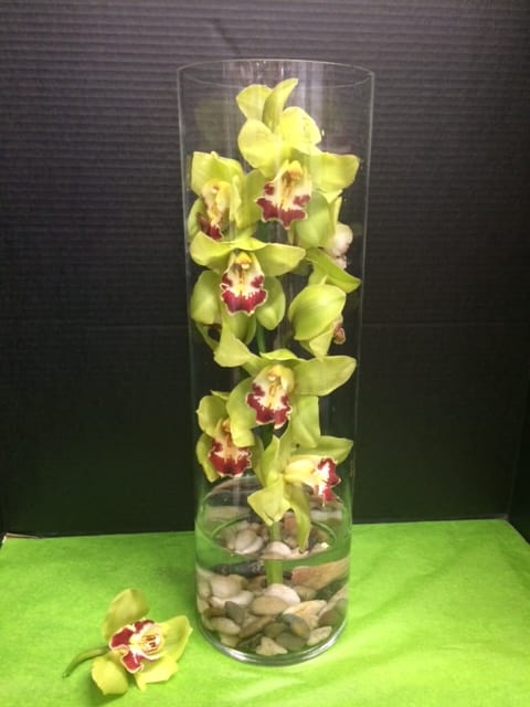 Green orchids in a tall glass cylinder vase with pebbles