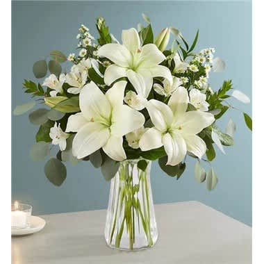 White Lily Bouquet For Sympathy - When words alone aren’t enough, let our peaceful bouquet express your deepest condolences. A gathering of white lilies and lush greenery creates a soothing reminder of your love and support during a difficult time. All-white bouquet of Asiatic lilies, Peruvian lilies (alstroemeria) and monte casino; gathered with assorted greenery Picked fresh on our premier farms around the world, our flowers are cared for every step of the way and shipped fresh to ensure lasting beauty and enjoyment