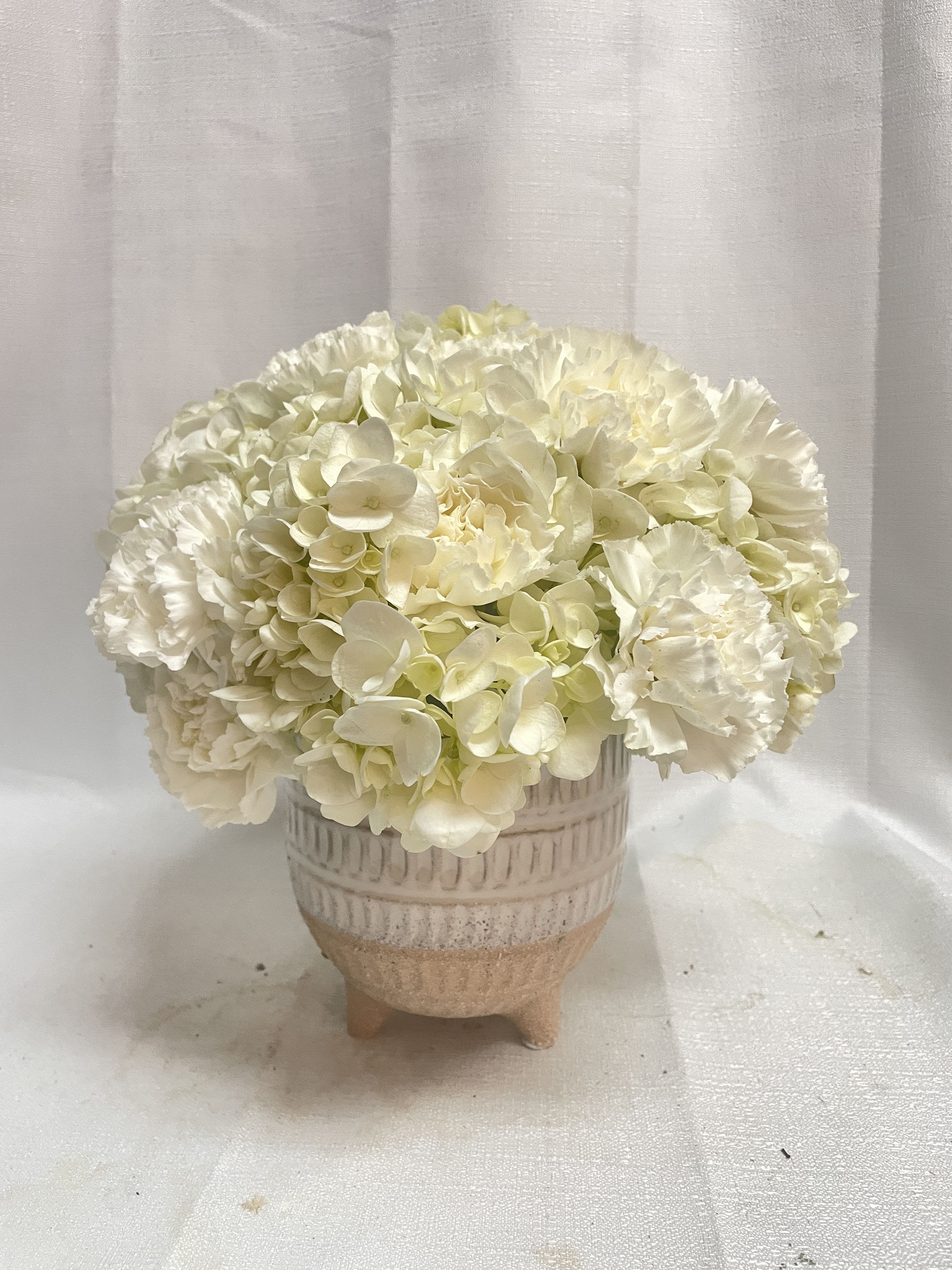 White hydrangea and carnation arrangement in a ceramic pot