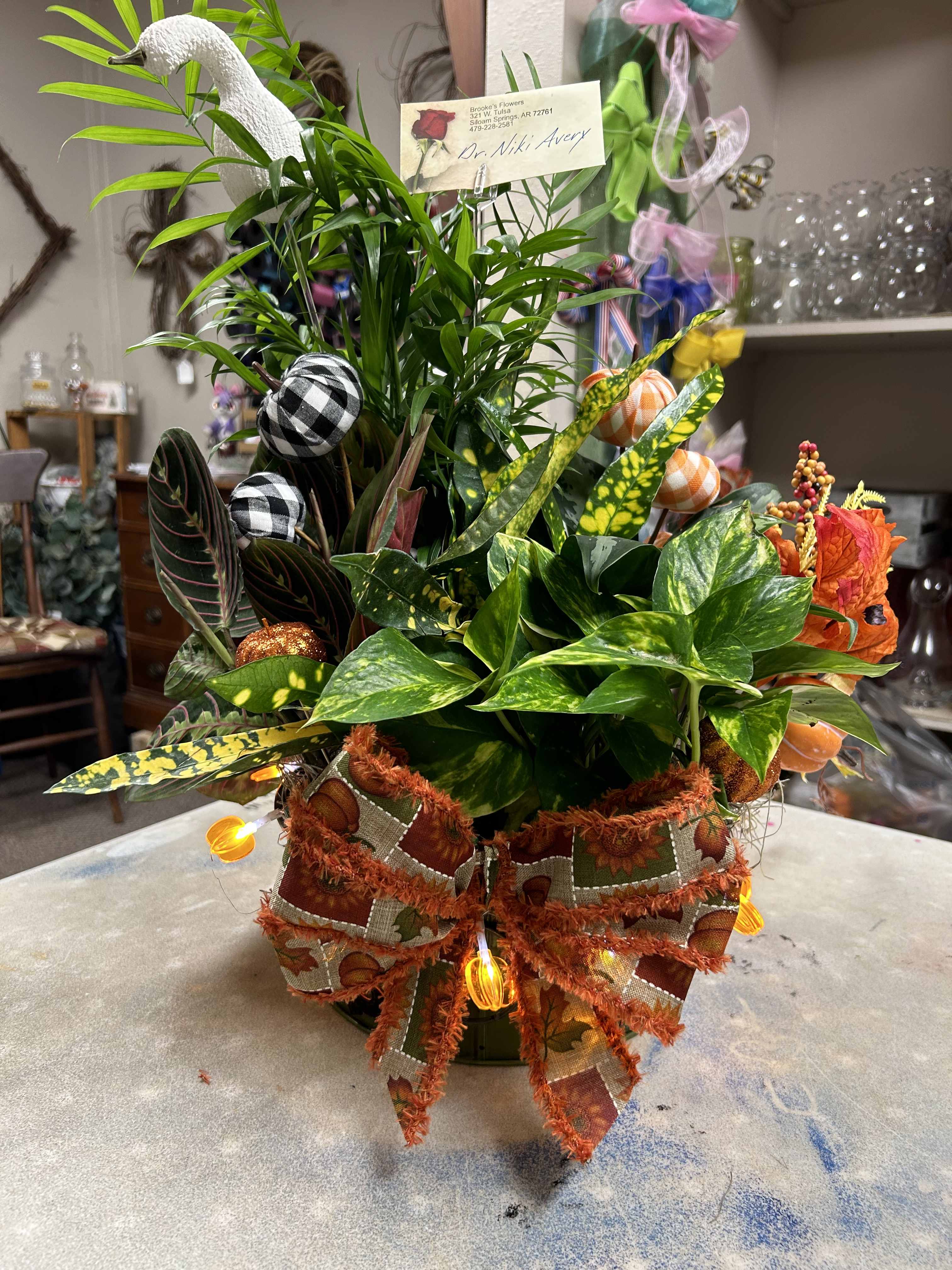 Potted foliage arrangement with a large autumn ribbon and decorative lights
