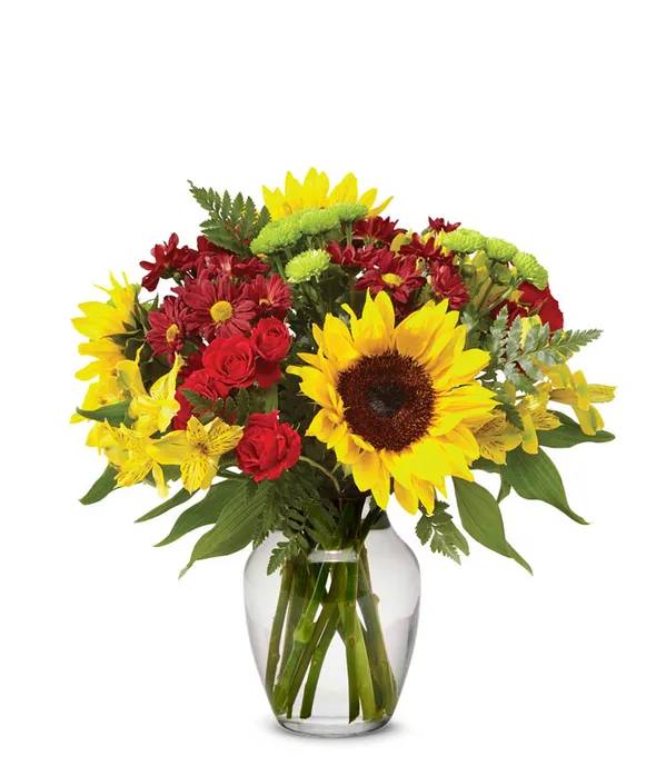 Bouquet of sunflowers, red daisies, and yellow alstroemeria in a clear glass vase