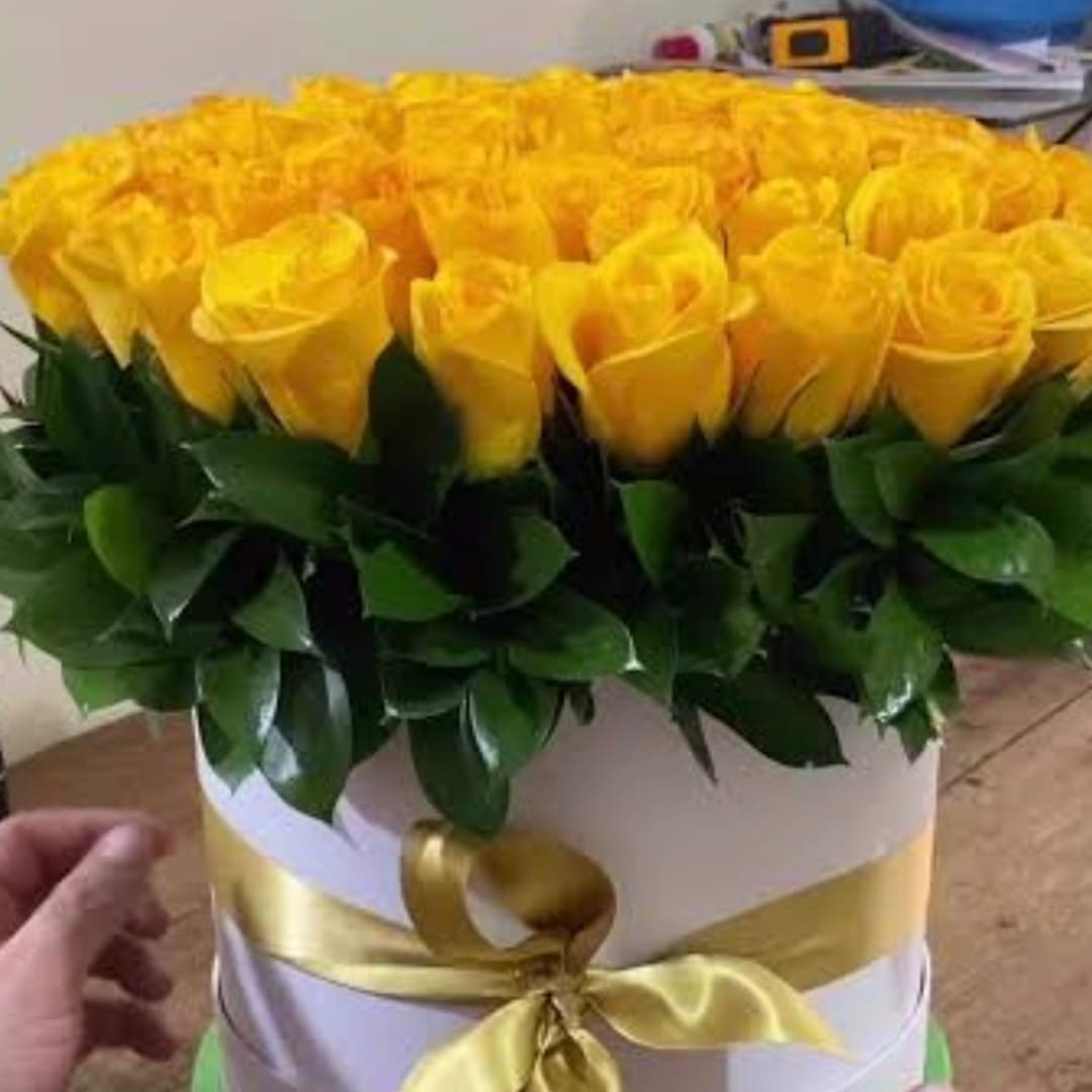 Yellow roses arranged in a white round box with a gold ribbon