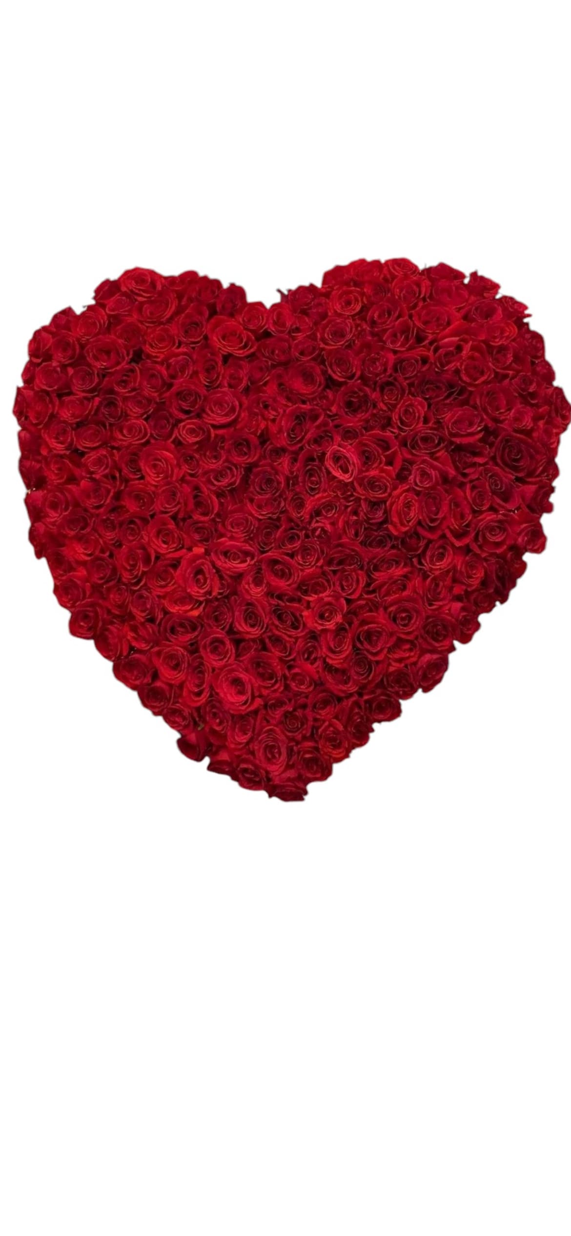 Always in my Heart  - 30 inch Red rose only Heart 