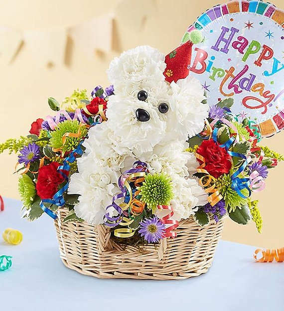 White flower dog in a wicker basket with a birthday sign