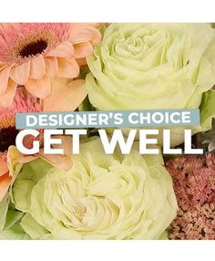 Peach gerbera daisies and pale green roses with text reading Designer's Choice Get Well.