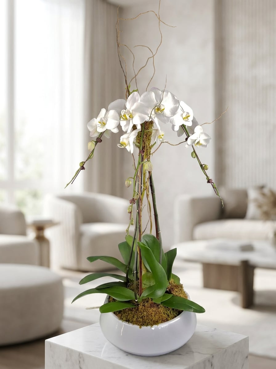 White orchid plant in a white bowl planter with tall decorative branches