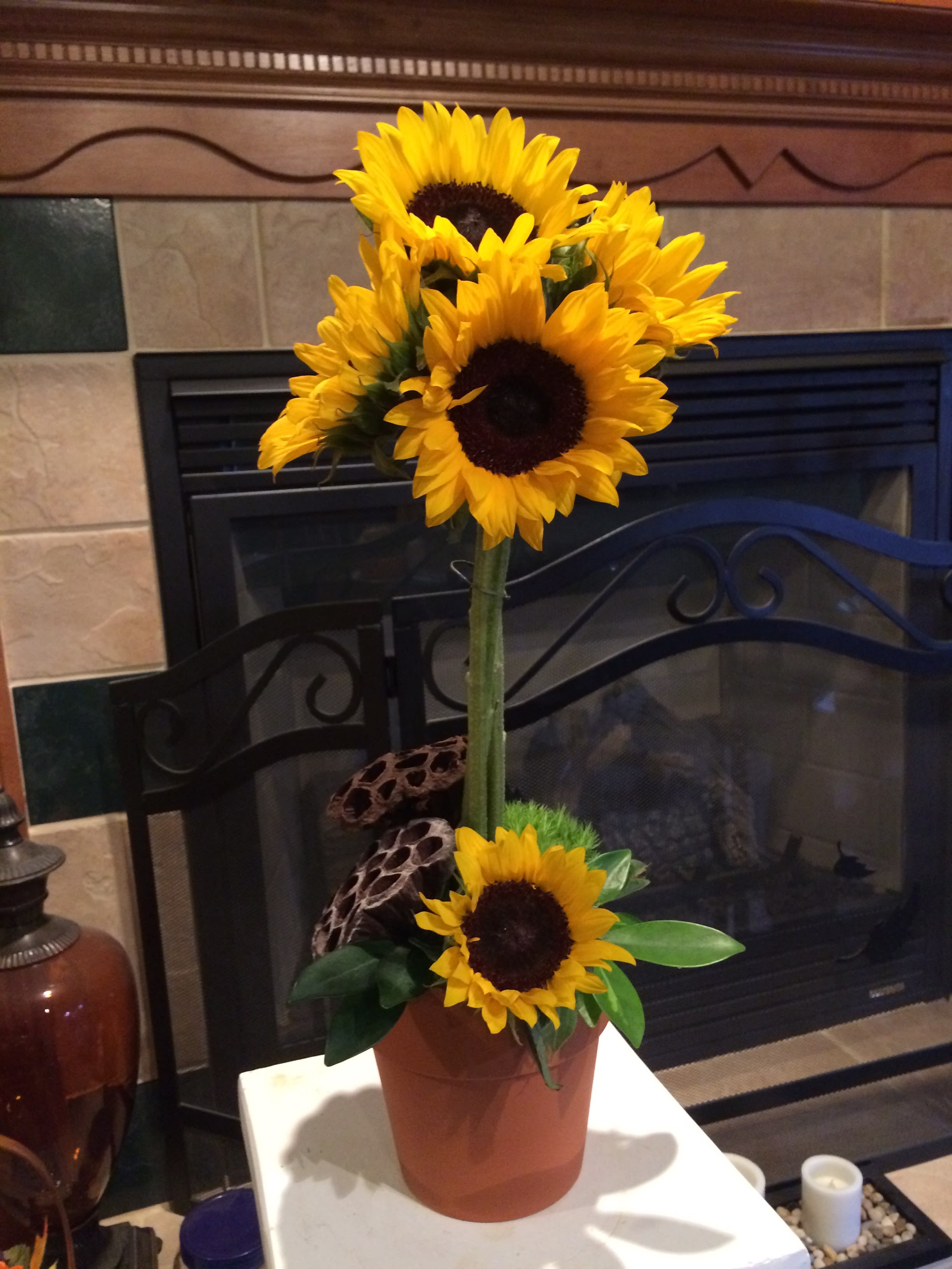 Sunflower arrangement in a terracotta pot with a tall stem and one lower bloom