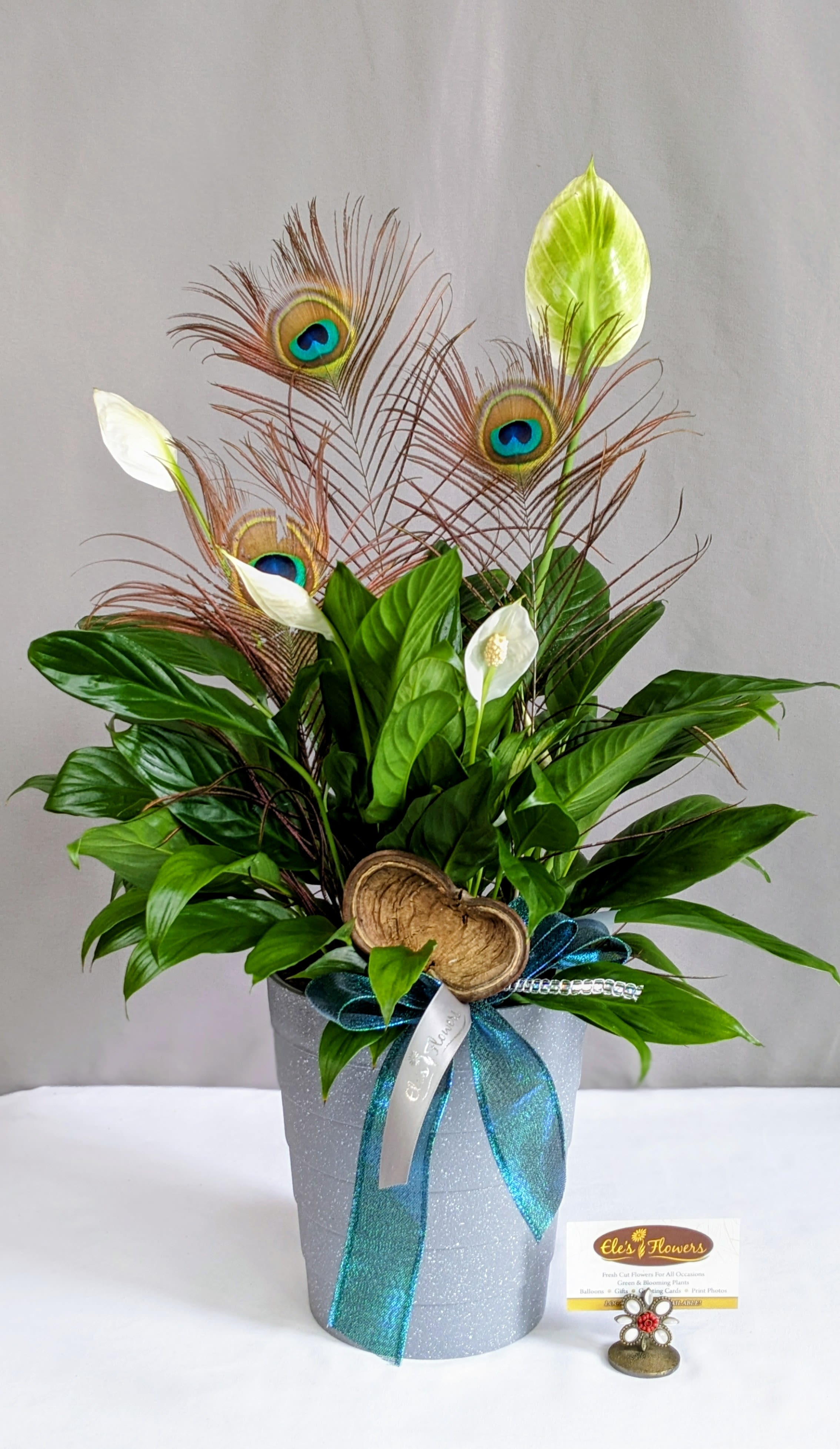 Exotic Peace Lily - 6" Planter - The Peace Lily is a popular, easy-to-care-for houseplant known for its glossy green leaves and elegant white blooms, which symbolize peace and tranquility. Ideal for low to medium light conditions, it also helps purify the air, making it perfect for homes and offices. Peace lilies prefer consistently moist soil but shouldn’t sit in water. They’re a great choice for adding beauty and a calming presence to any indoor space. Keep in mind that all parts of the plant are toxic if ingested, so take care around pets and children. Care instructions are provided.  Approximate Dimensions: 26"H x 18"W