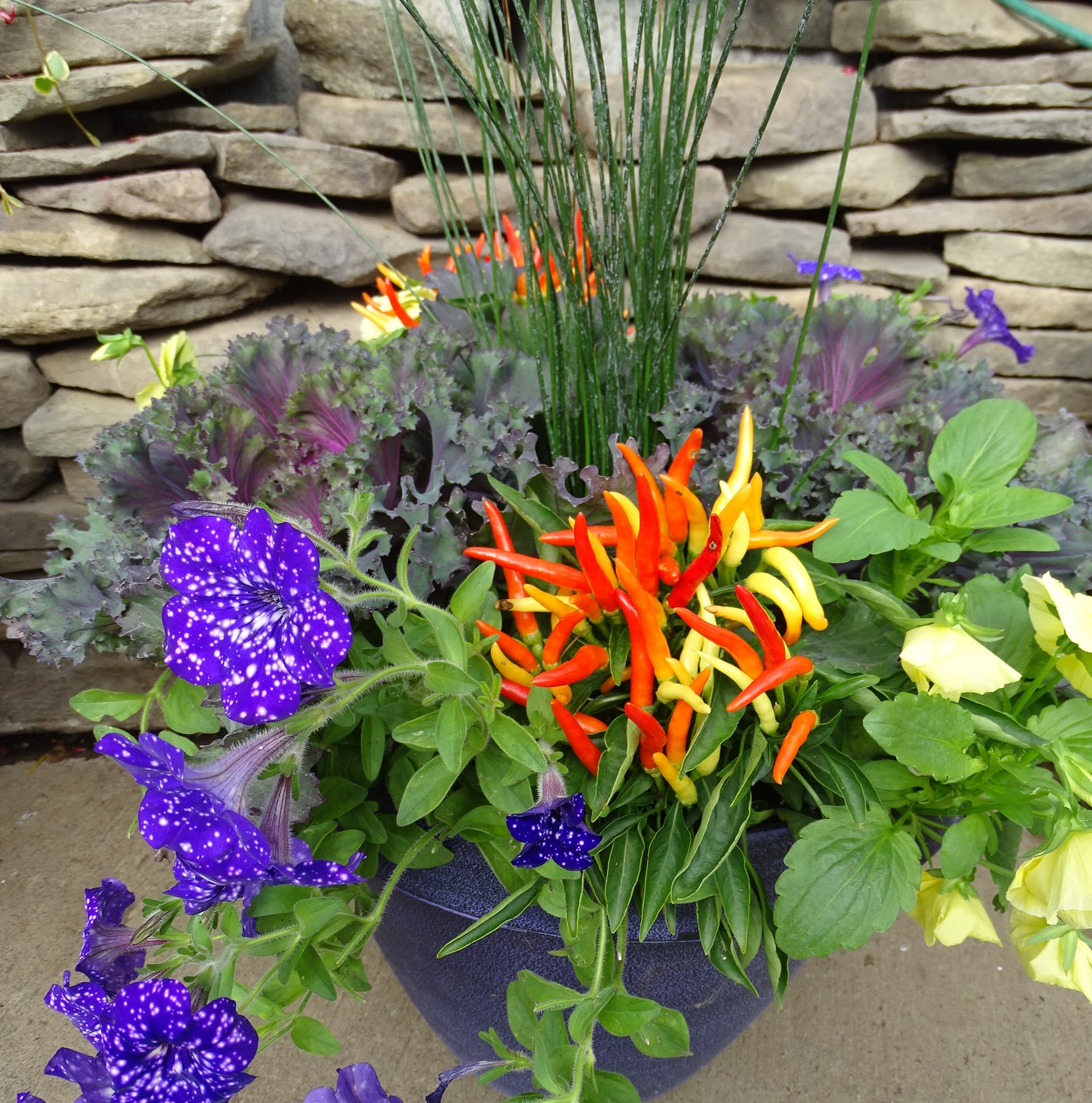 Colorful potted floral arrangement with purple, yellow, and orange blooms