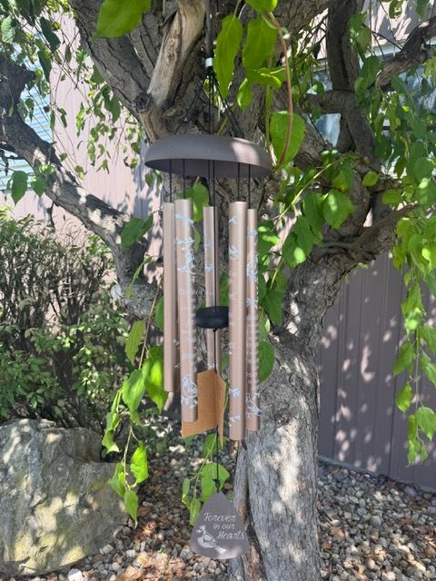 Wind chime hanging from a tree branch outdoors