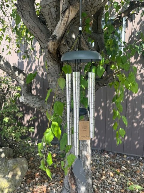 Wind chime hanging from a tree branch outdoors